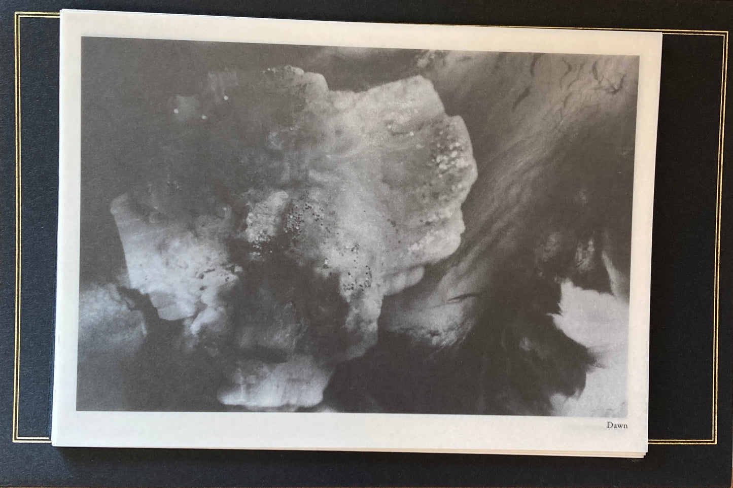 石化した風景 Petrified Scenery 西田優子 限定300部