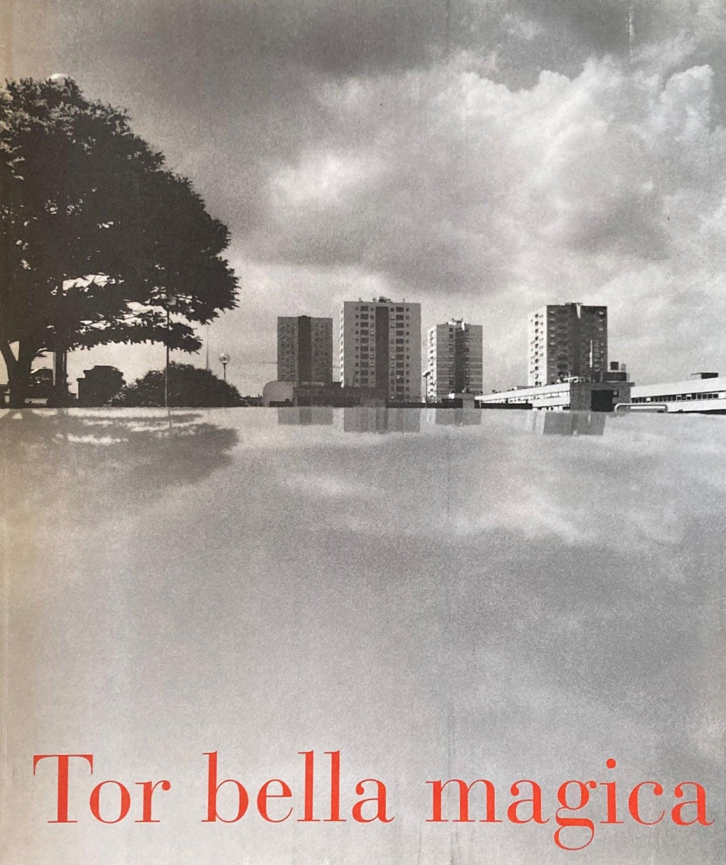 Tor bella magica DANIELA LANCIONI