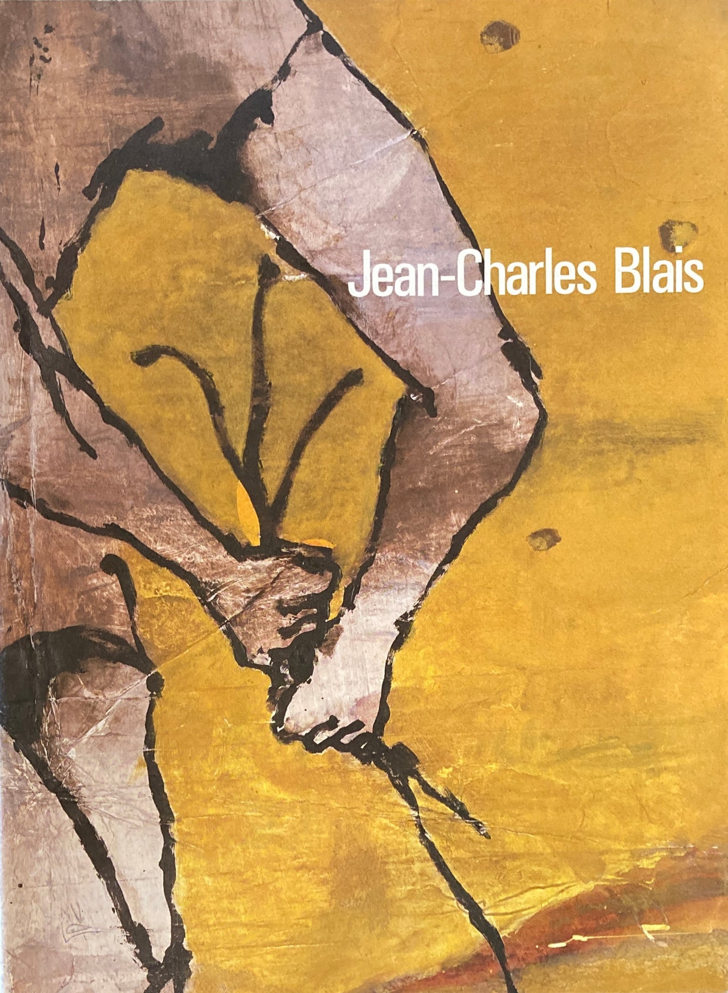 ジャン=シャルル・ブレ Jean-Charles Blais 1988 佐谷画廊