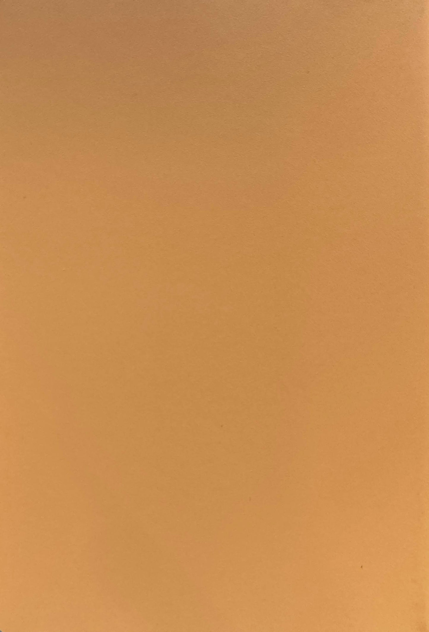 KAJ FRANCKGEOMETRY 没後30年 カイ・フランク 展