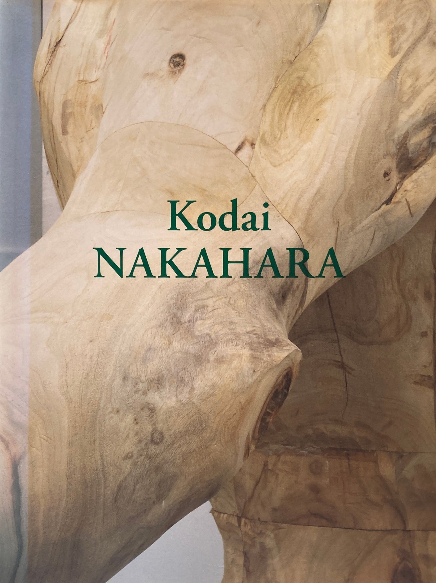 Kodai NAKAHARA 中原浩大 1982‐2014