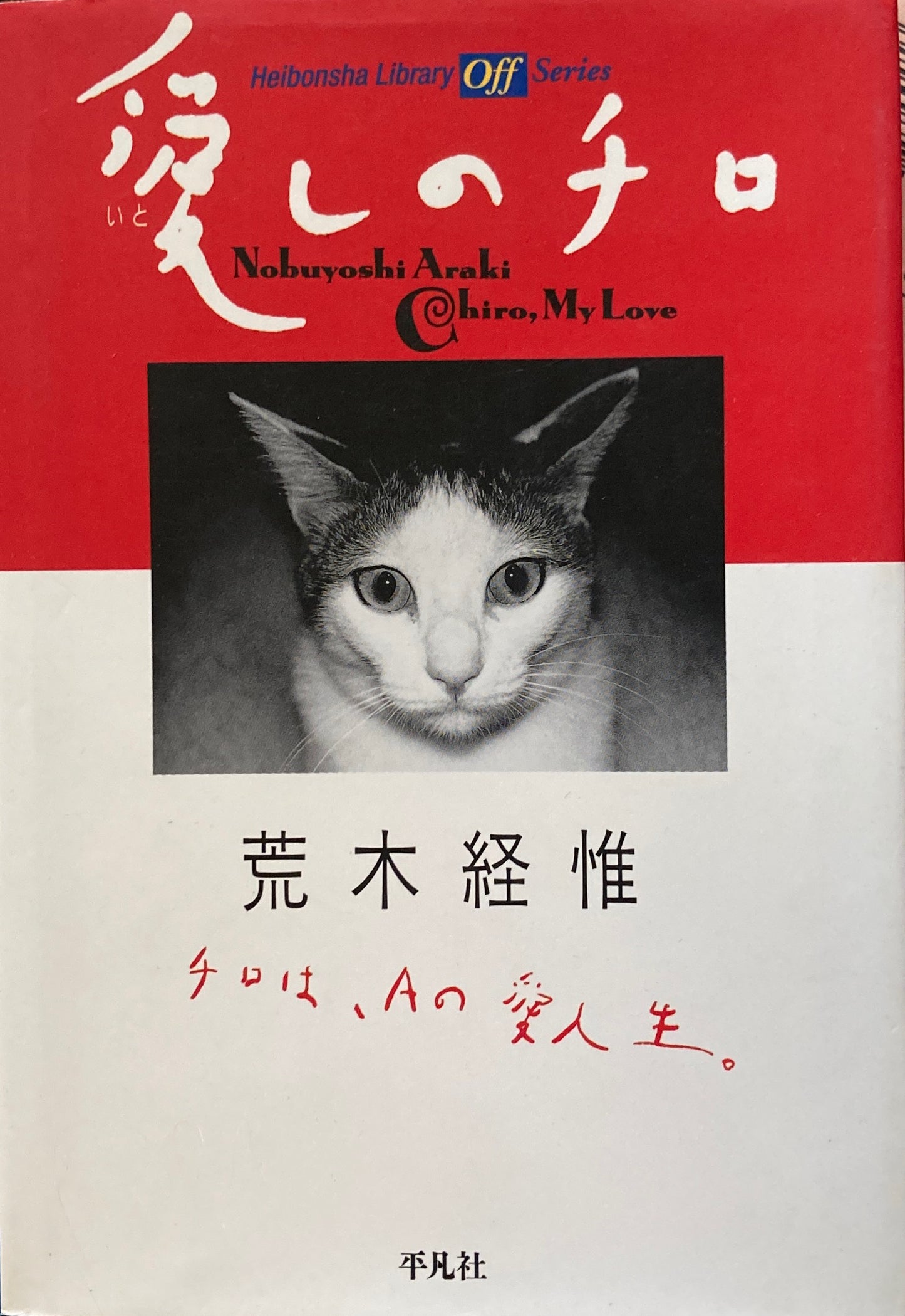 愛しのチロ 荒木経惟 平凡社ライブラリー off series