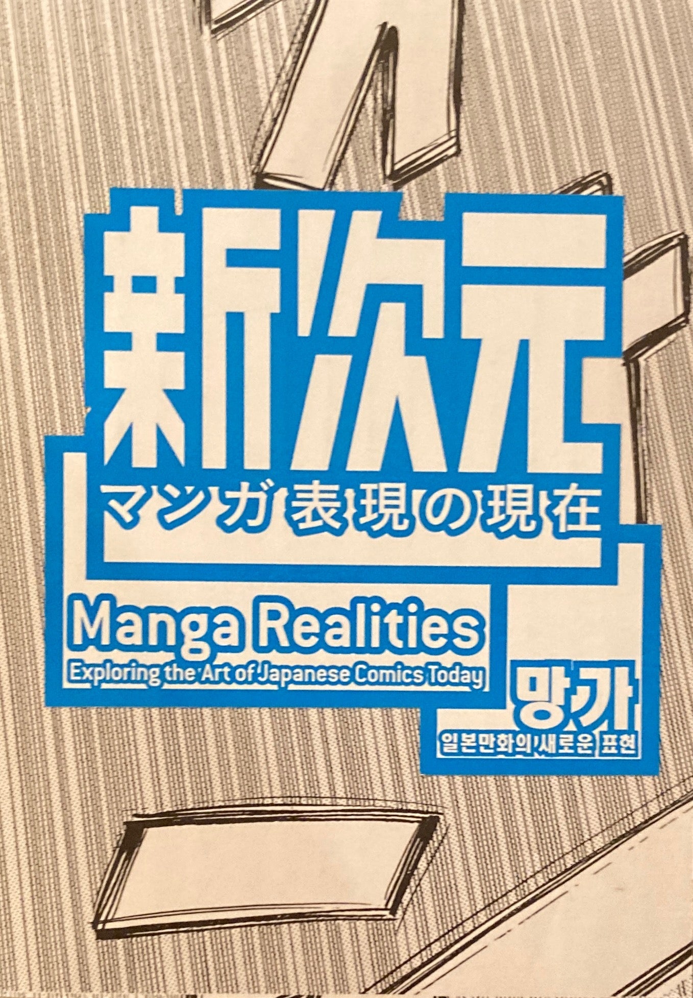 新次元 マンガ表現の現在 カタログ