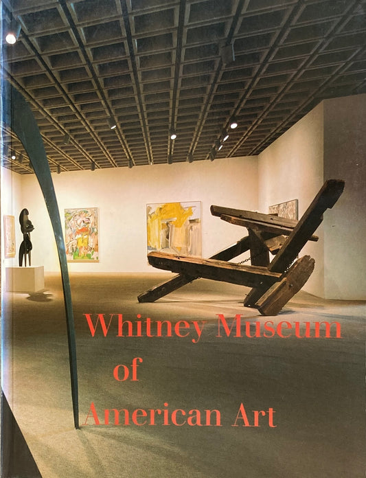 Whitney Museum of American art  Sims Patterson