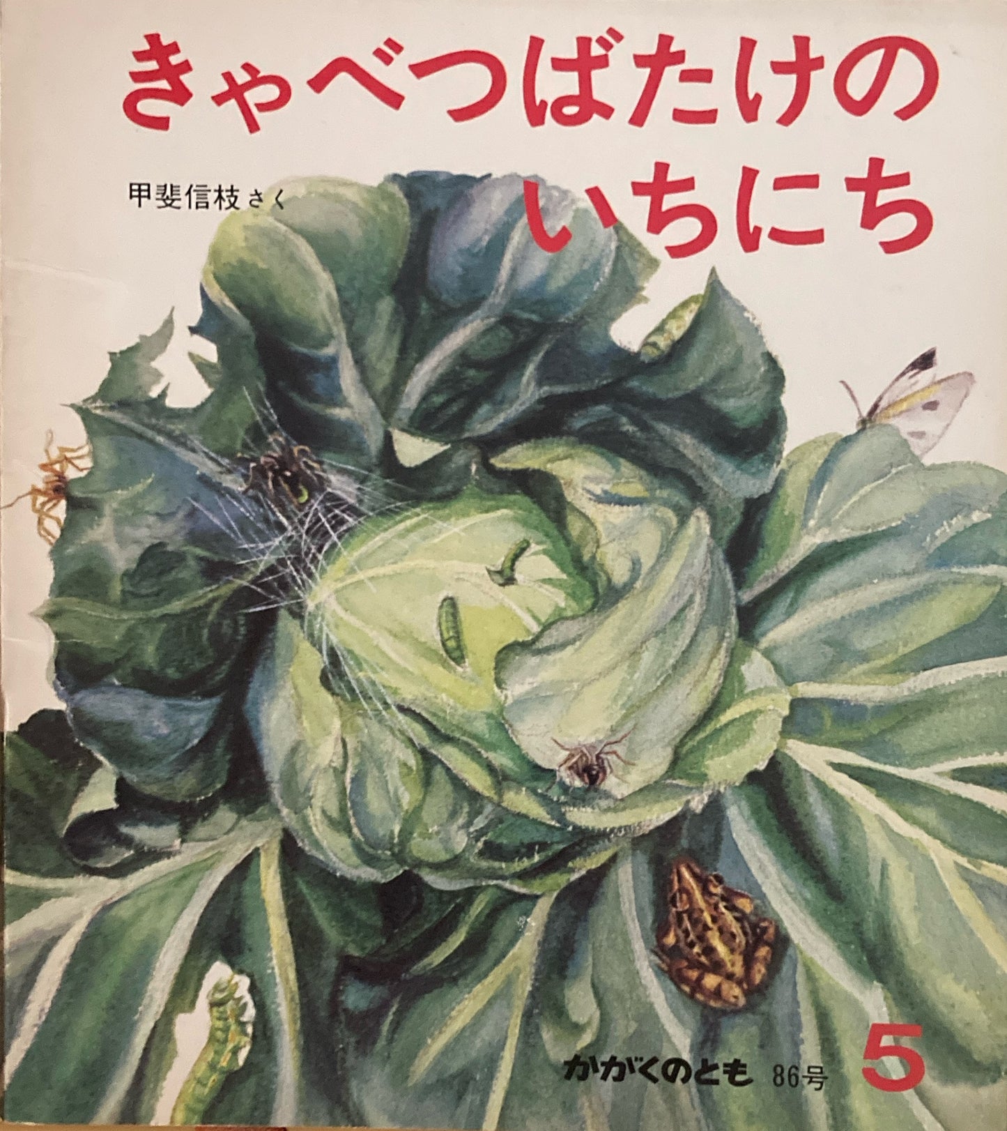 きゃべつばたけのいちにち 甲斐信枝 かがくのとも86号 1976年5月号