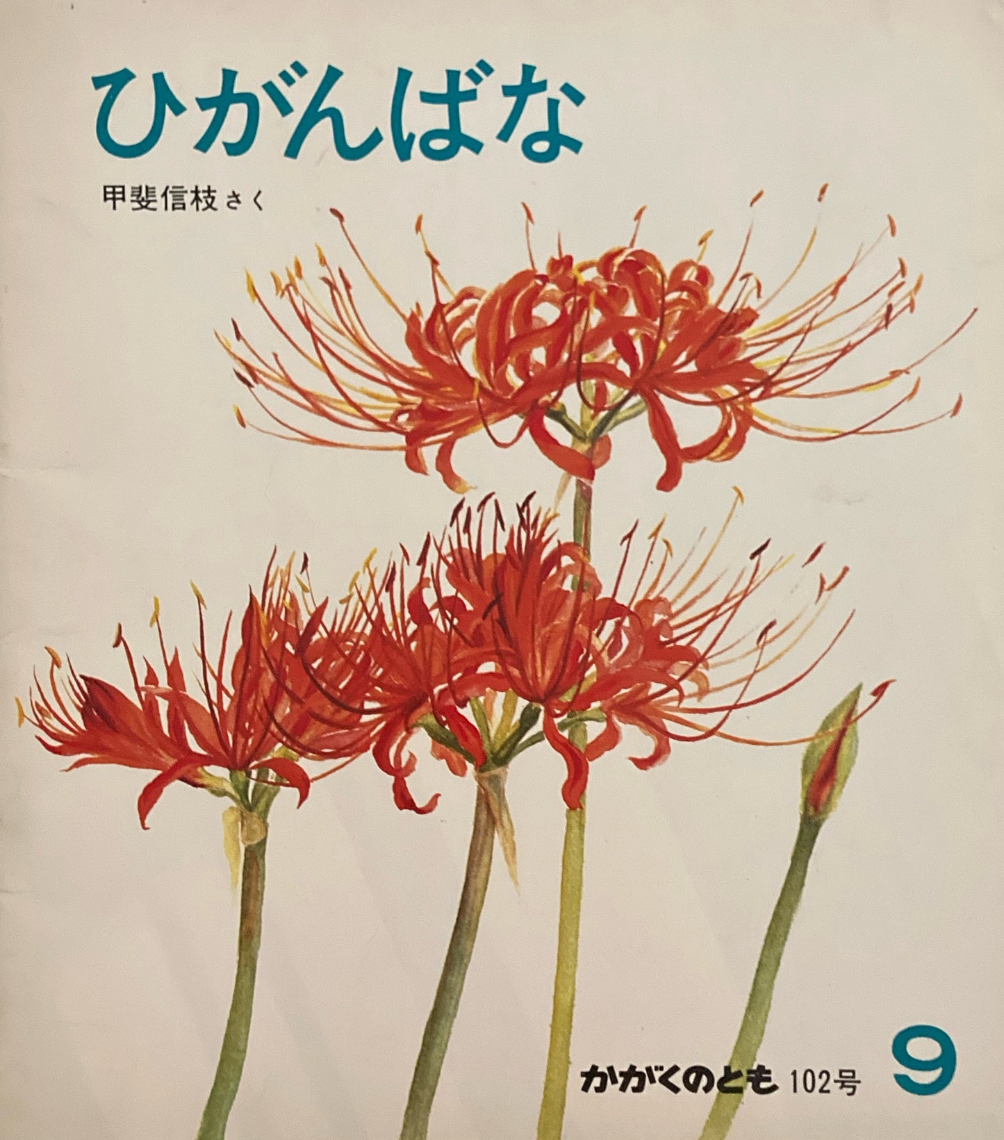 ひがんばな 甲斐信枝 かがくのとも102号 1977年9月号