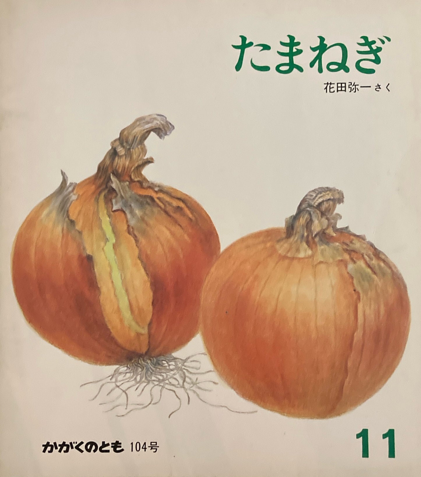 たまねぎ 花田弥一 かがくのとも104号 1977年11月号