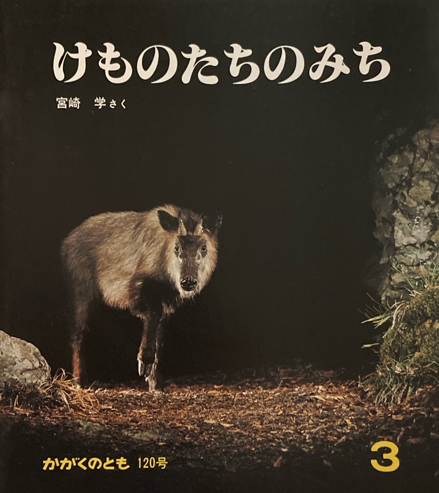 けものたちのみち 宮崎学 かがくのとも120号