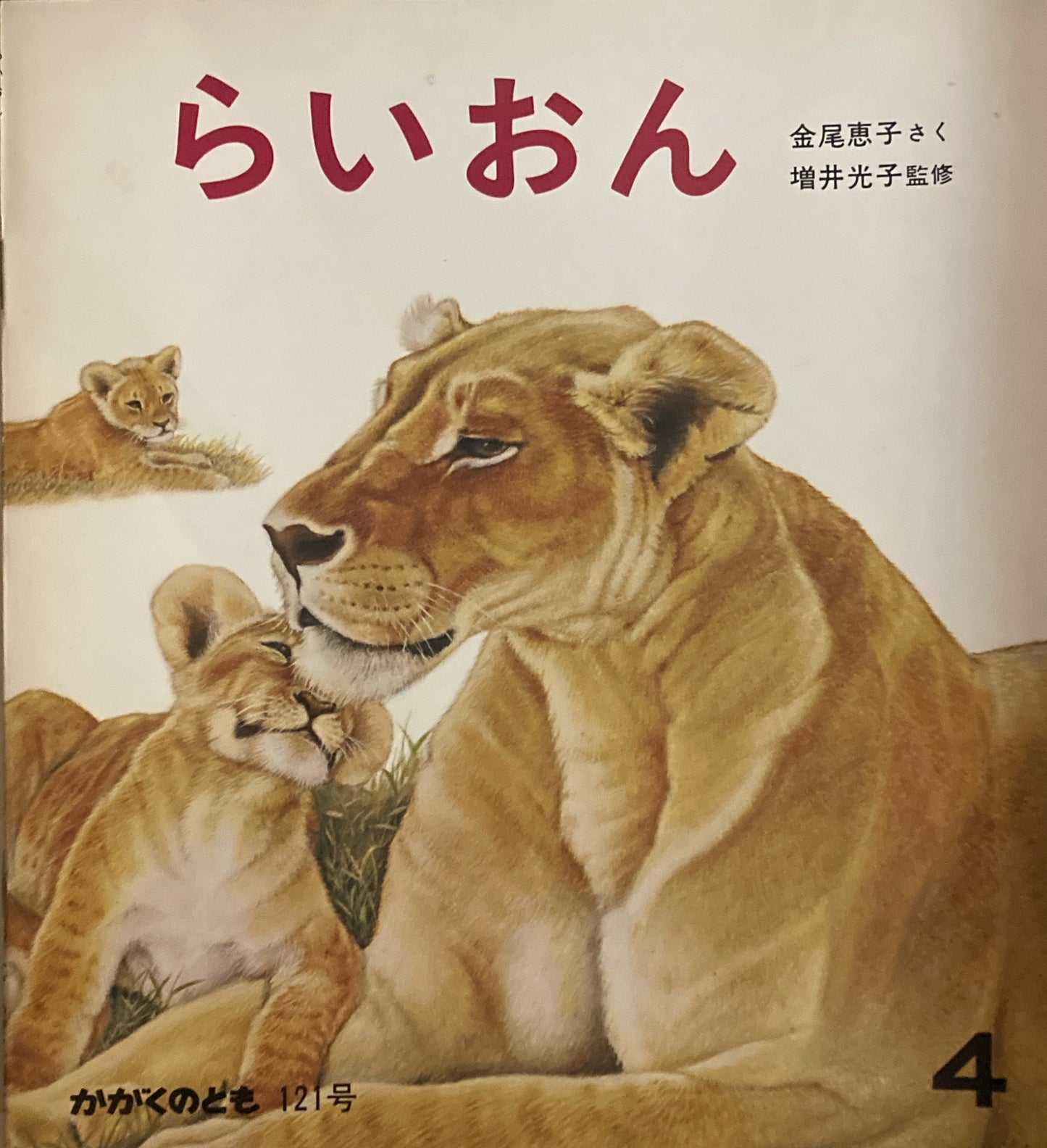らいおん 金尾恵子 かがくのとも121号  1979年4月号