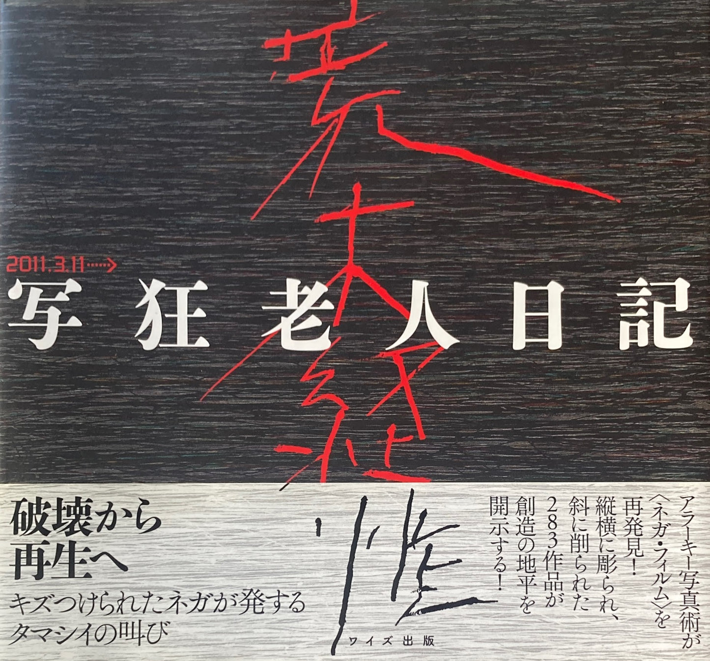 写狂老人日記 荒木経惟