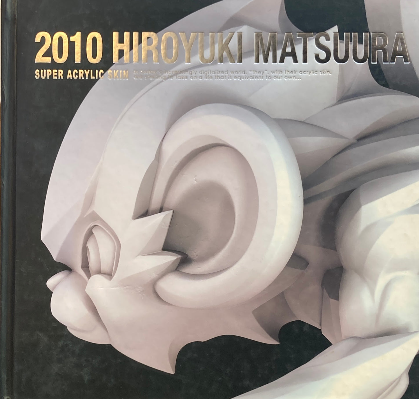 2010 HIROYUKI MATSUURA Super Acrylic Skin 東京画廊+BTAP