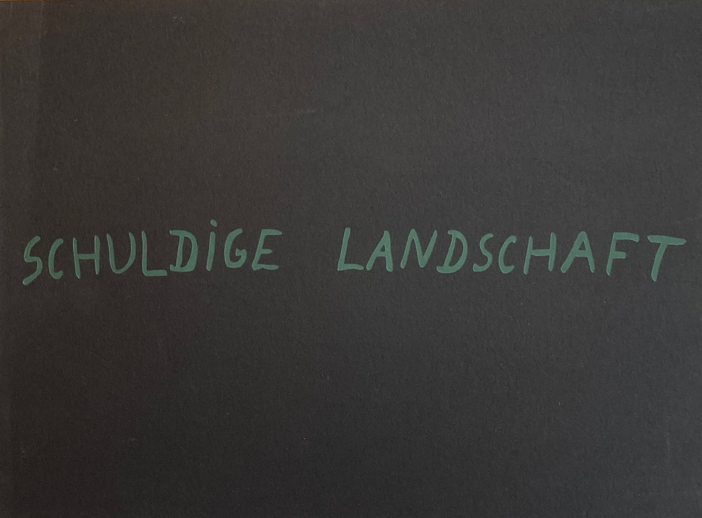 Het Schuldige Landschap Armando