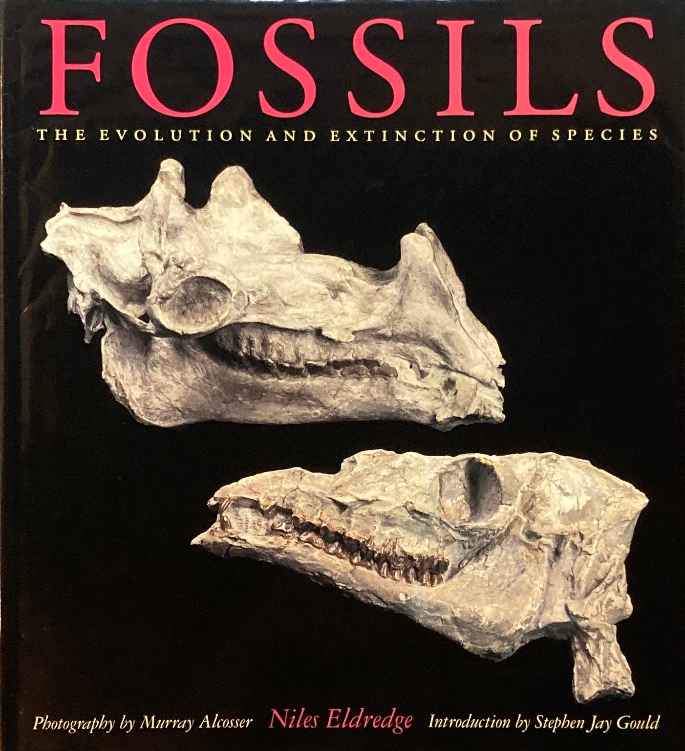 FOSSILS THE EVOLUTION AND EXTINCTION OF SPECIES Niles Eldredge