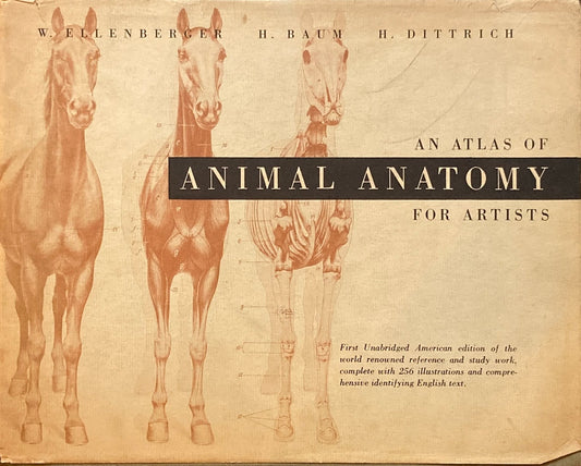 AN ATALAS OF ANIMAL ANATOMY FOR ARTISTS W.ELLENBERGER