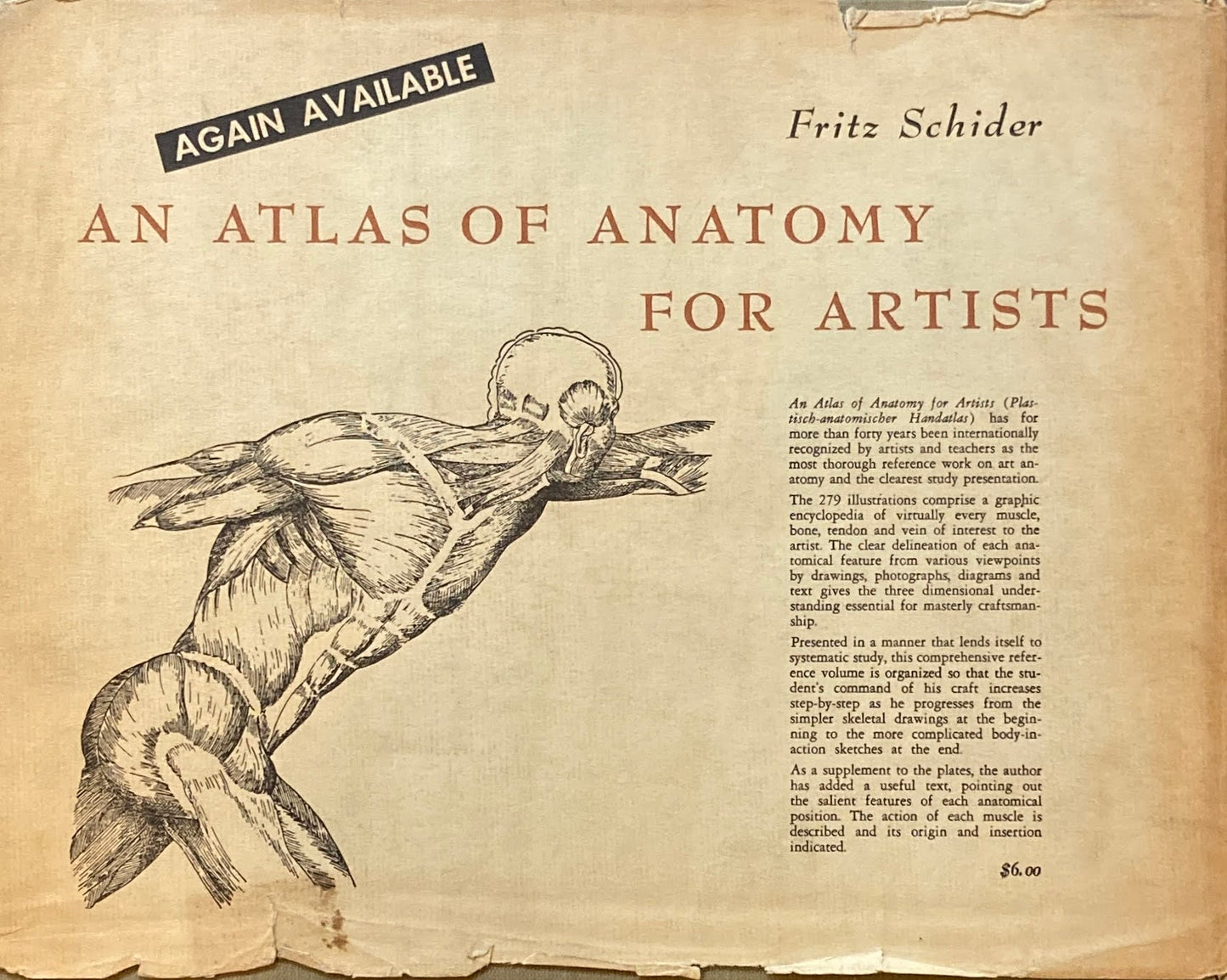 AN ATALAS OF ANIMAL ANATOMY FOR ARTISTS W.ELLENBERGER