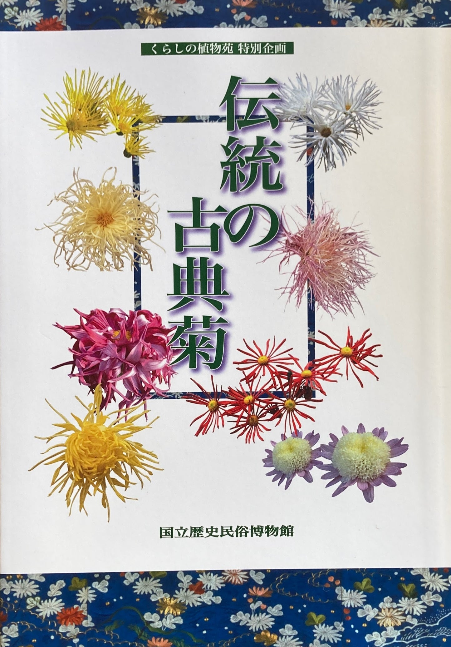 伝統の古典菊 くらしの博物苑特別企画 国立歴史民俗博物館