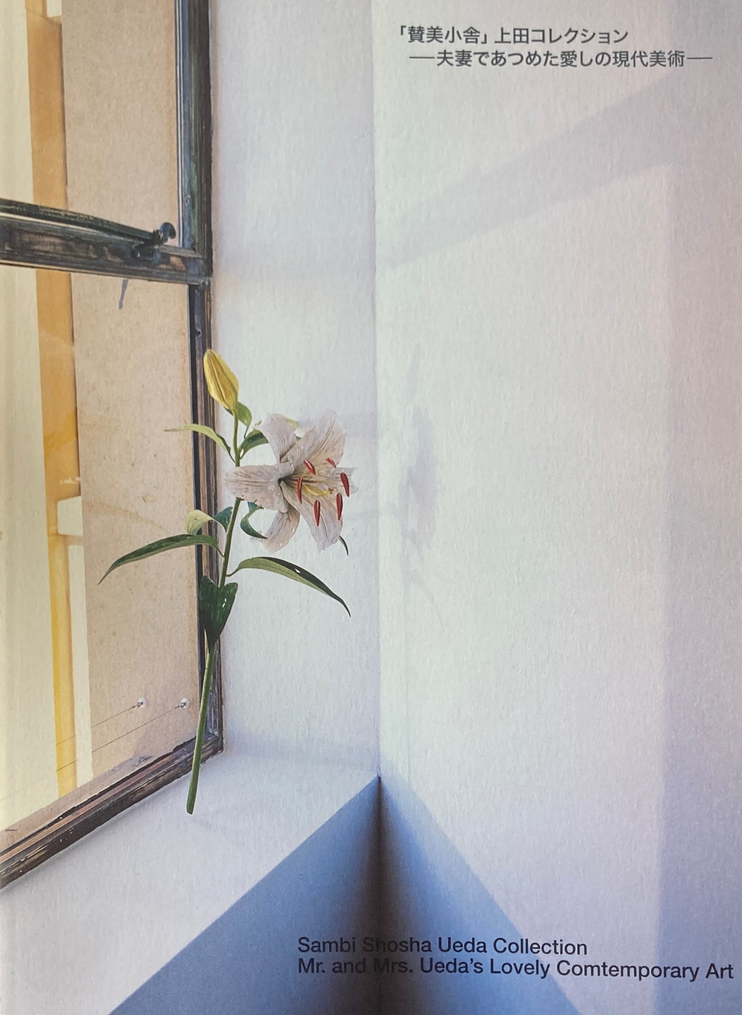 「賛美小舎」上田コレクション 夫妻(ふたり)であつめた愛しの現代美術 2007年