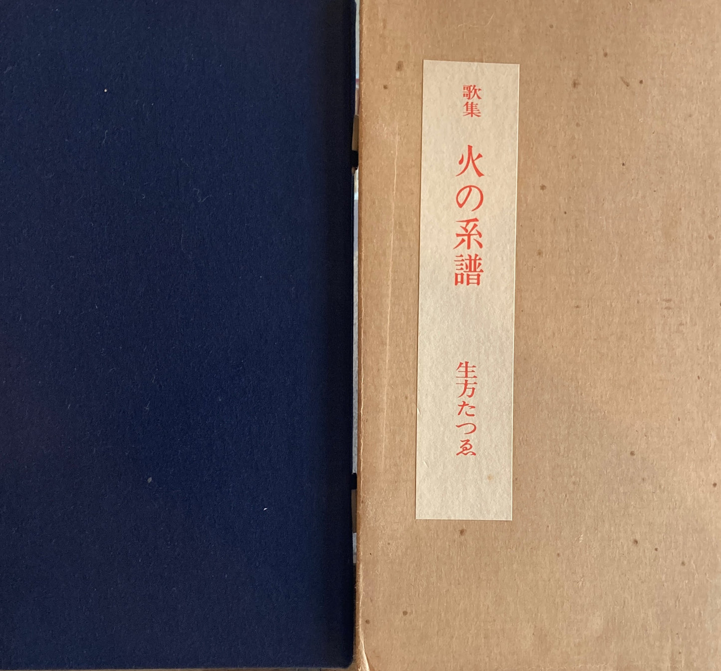 歌集 火の系譜 生方たつゑ