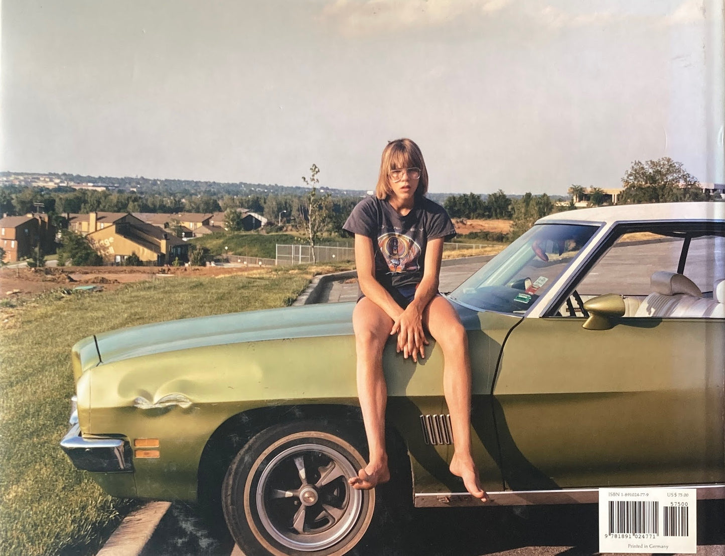 JOEL STERNFELD AMERICAN PROSPECTS