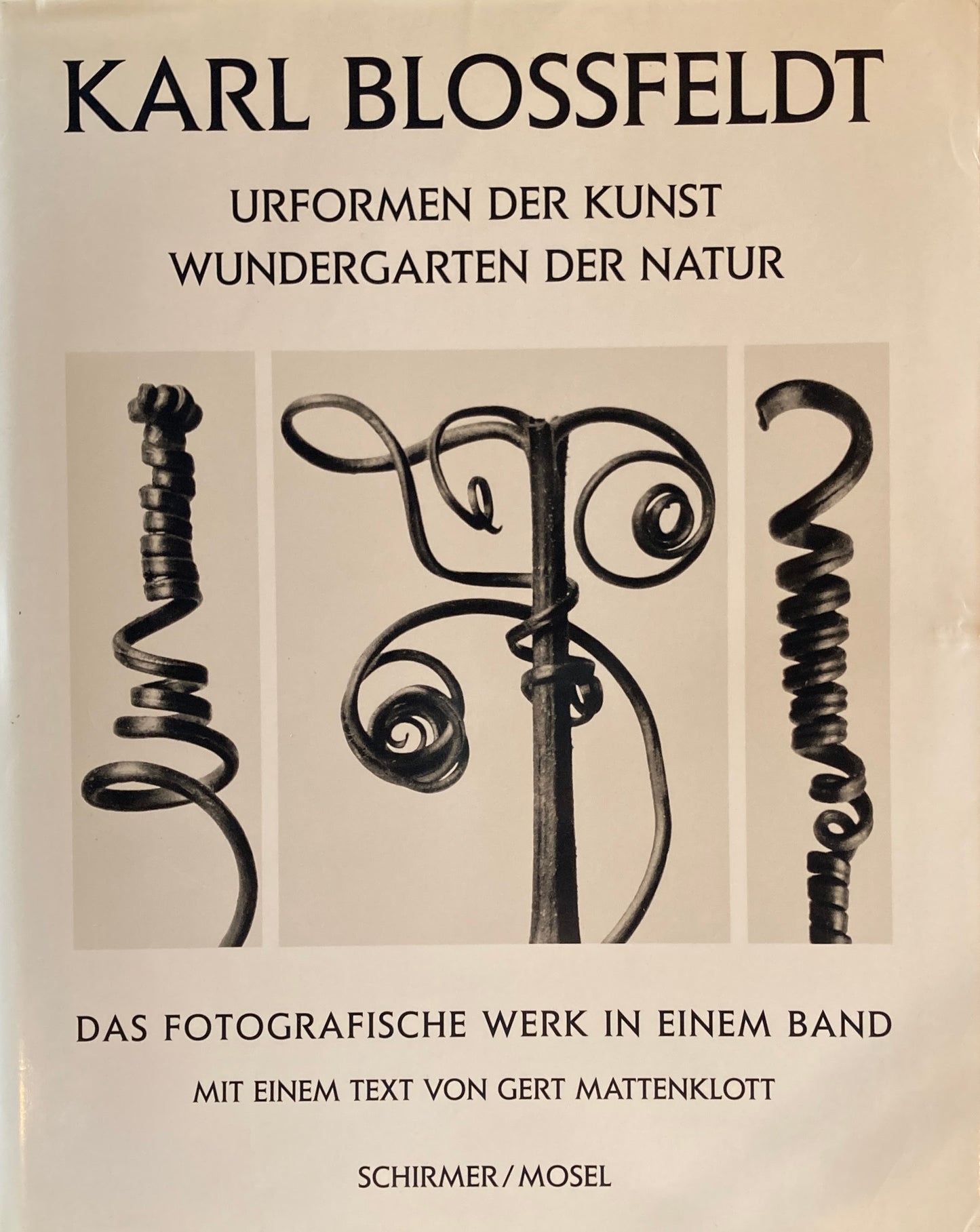 Karl Blossfeldt Urformen der Kunst Wundergarten der Natur