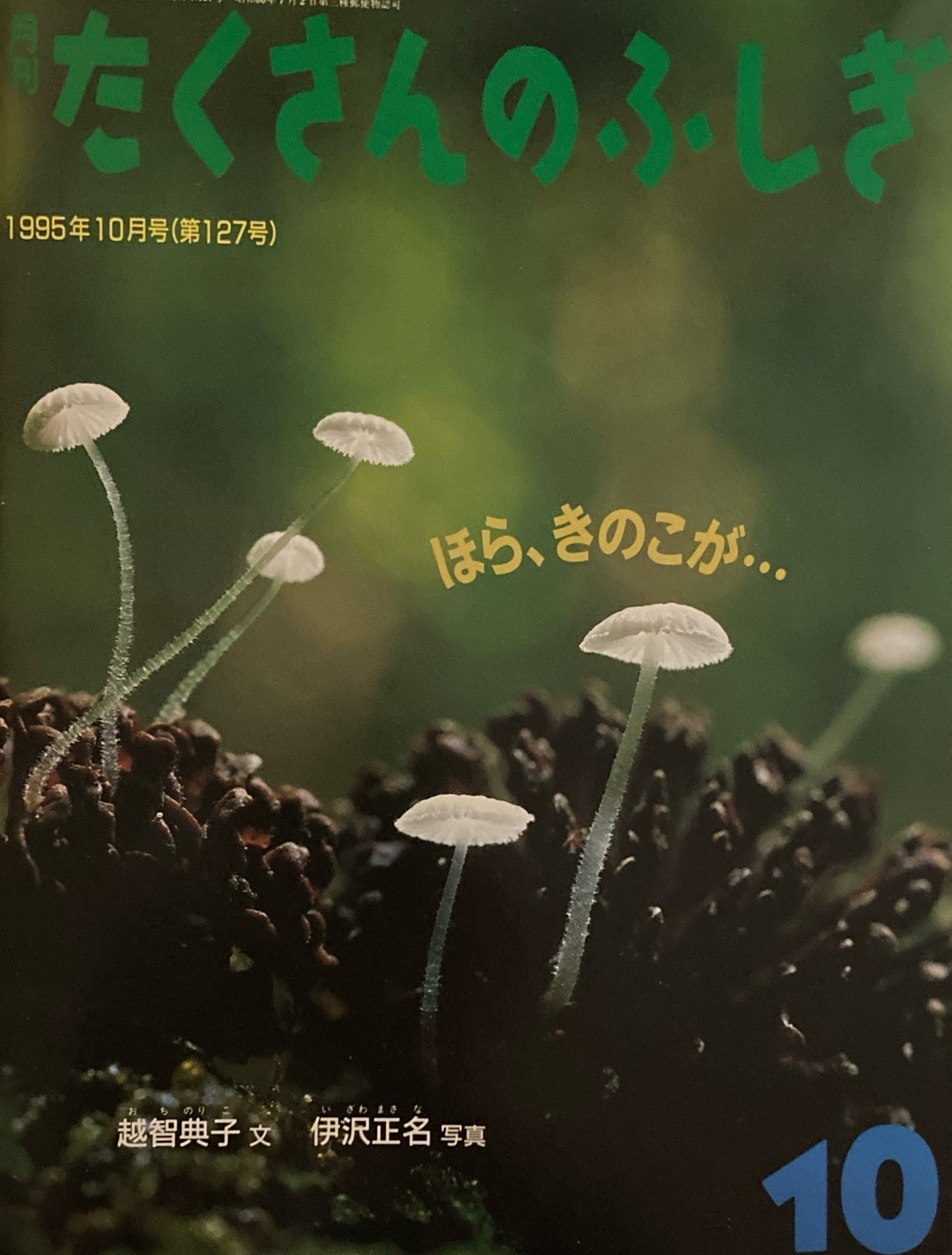 ほら、きのこが… たくさんのふしぎ127号 1995年10月号