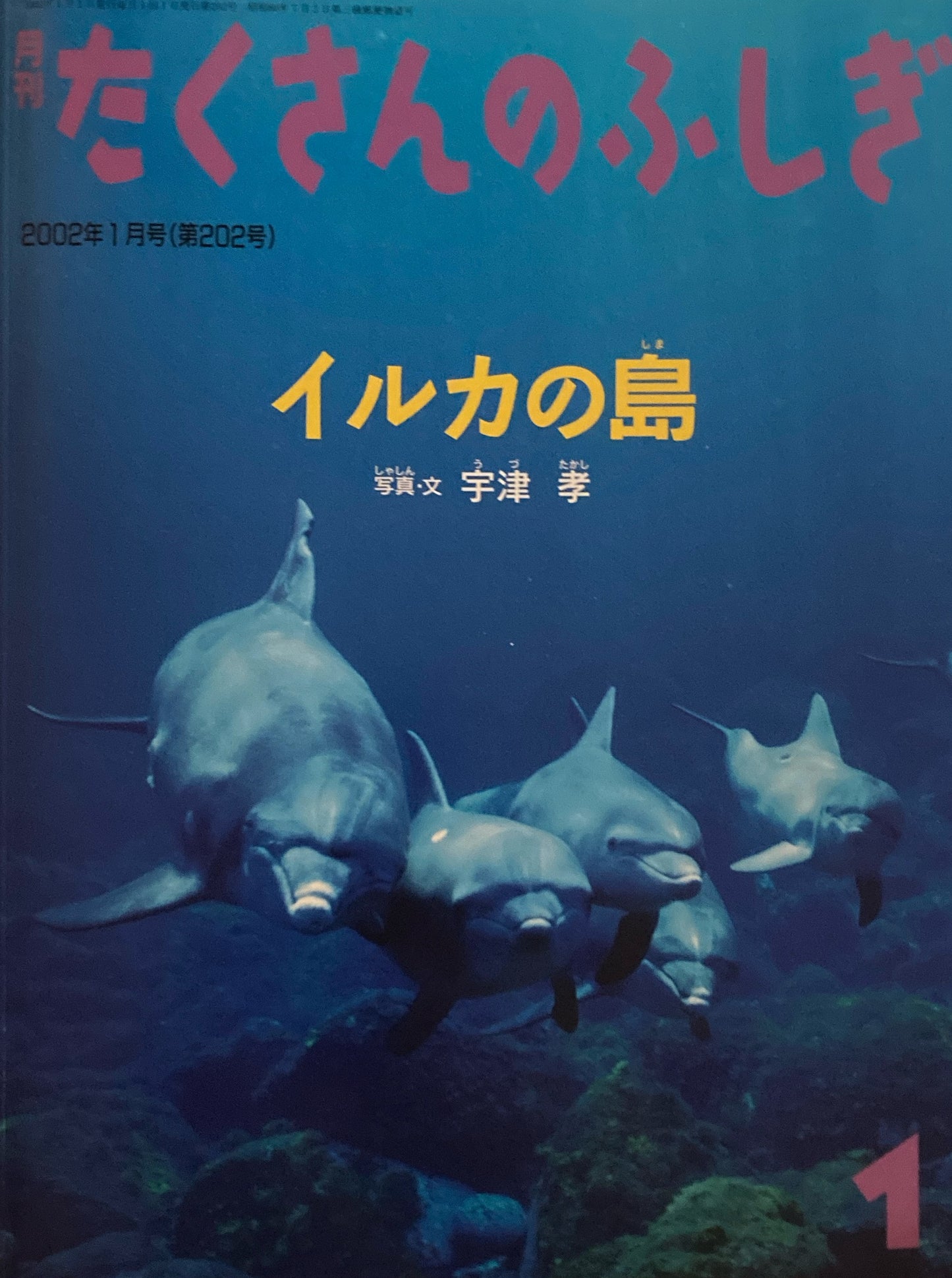イルカの島 たくさんのふしぎ202号 2002年1月号