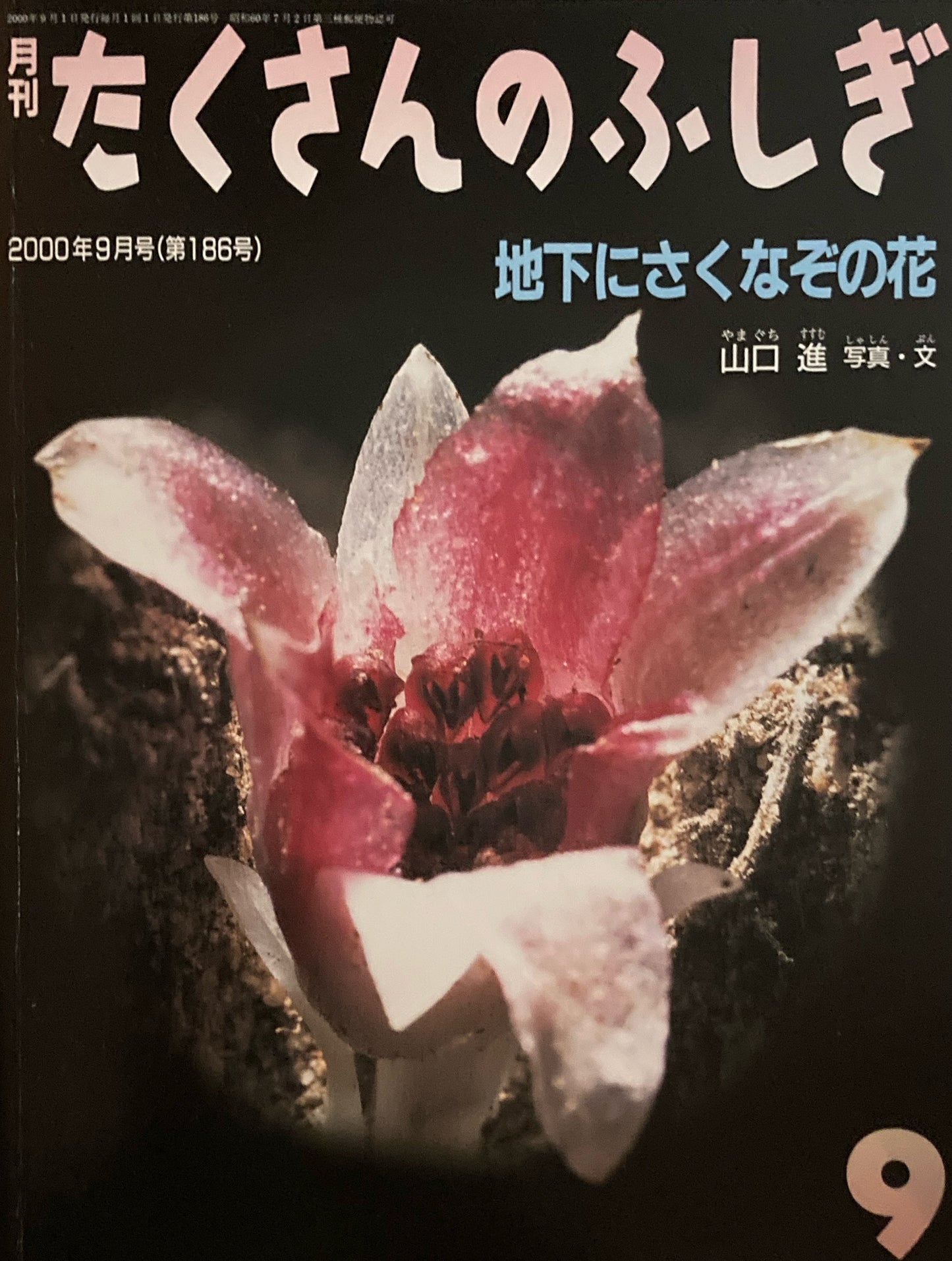 地下にさくなぞの花 たくさんのふしぎ186号  2000年9月号