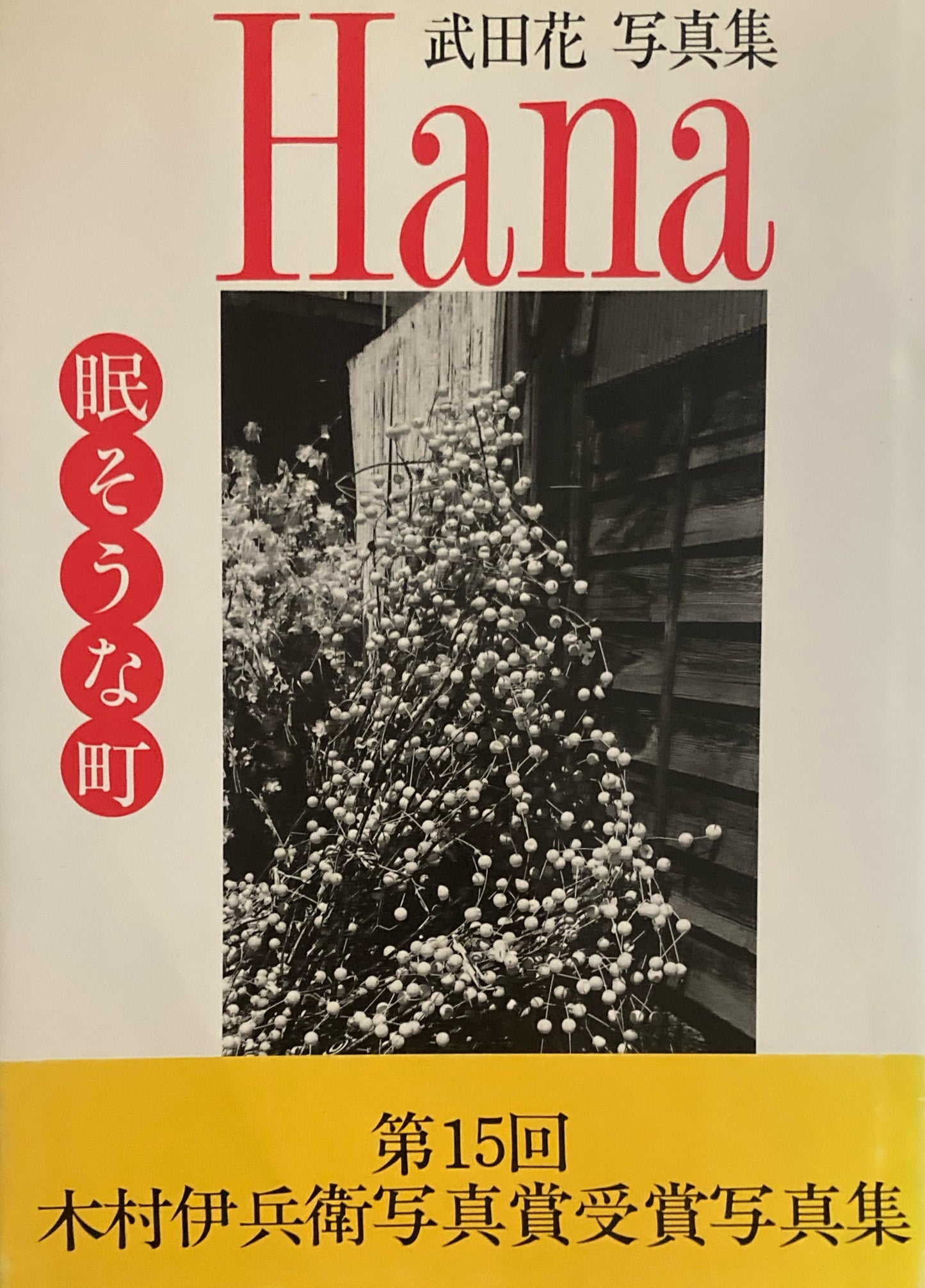 Hana 眠そうな町 武田花写真集