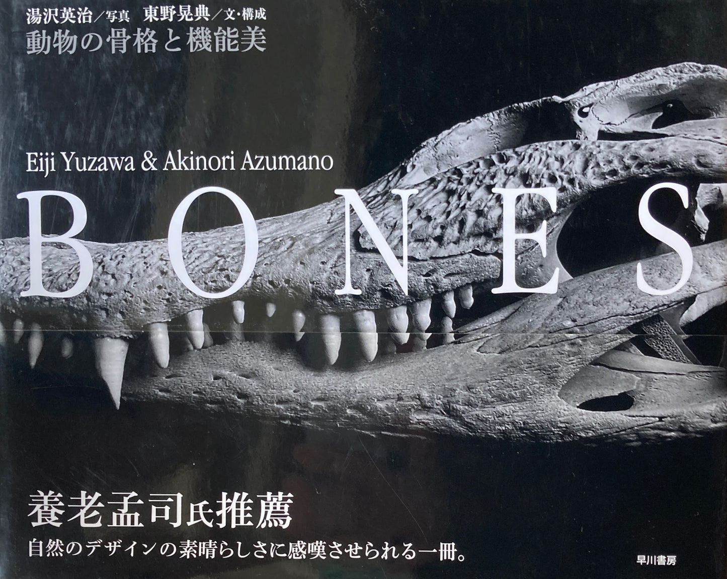 Bones : 動物の骨格と機能美