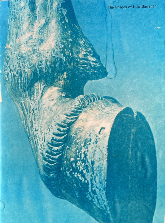 The Images of Luis Barragán ルイス・バラガン