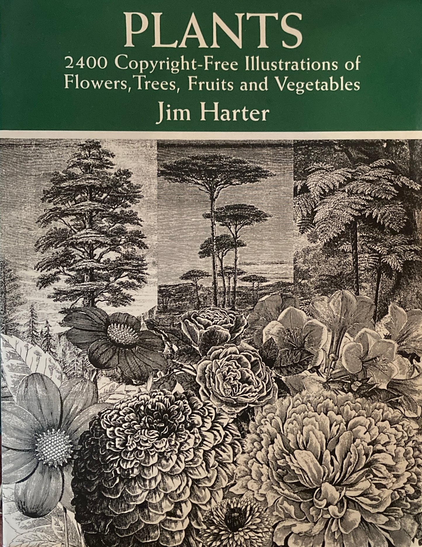 Plants 2400 Copyright-Free Illustrations of Flowers, Trees, Fruits and Vegetables Dover