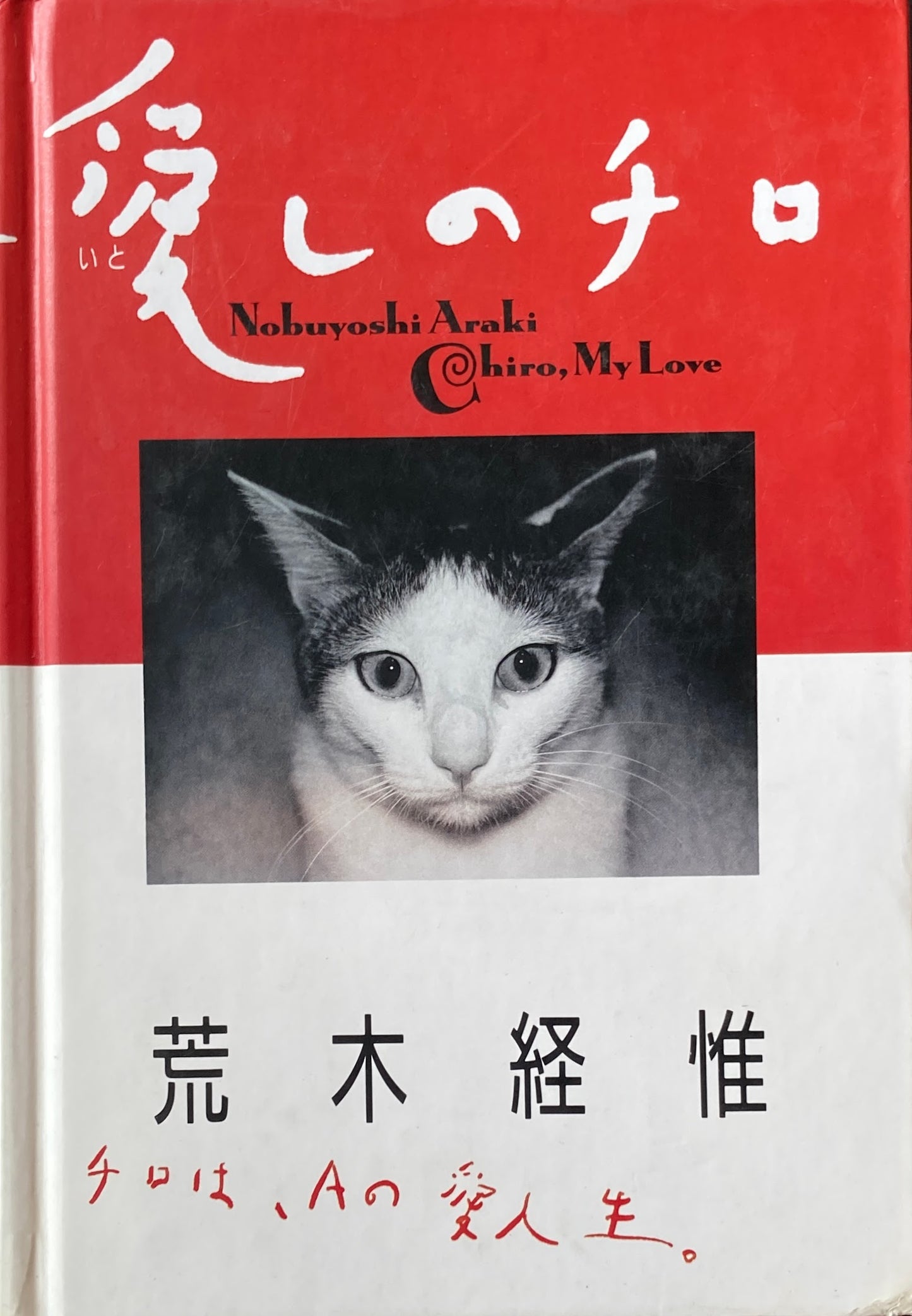 愛しのチロ 荒木経惟