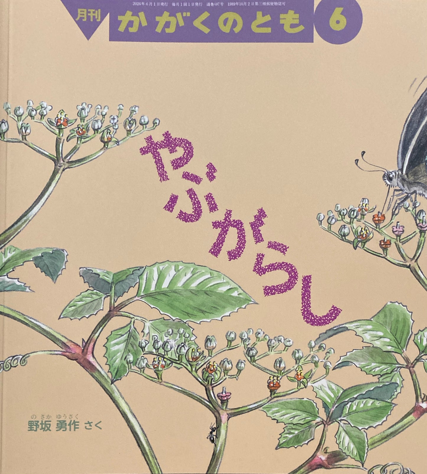やぶがらし かがくのとも687号 2026年6月号