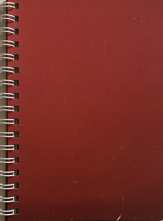 いない 原口佳子