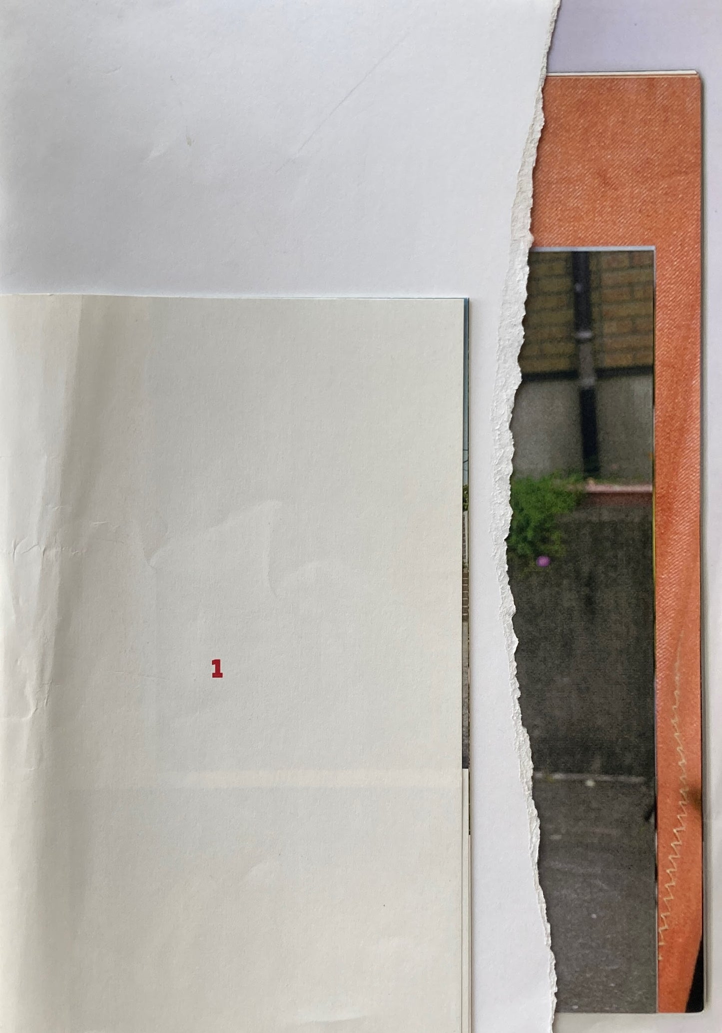 picnic osakentaro yyypress