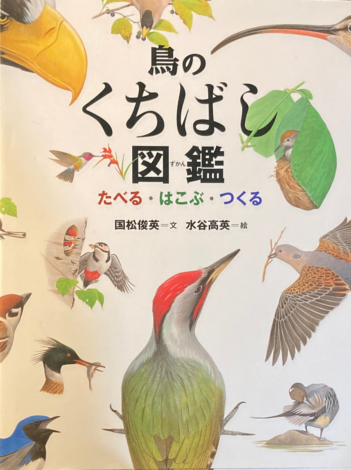 鳥のくちばし図鑑 たべる・はこぶ・つくる