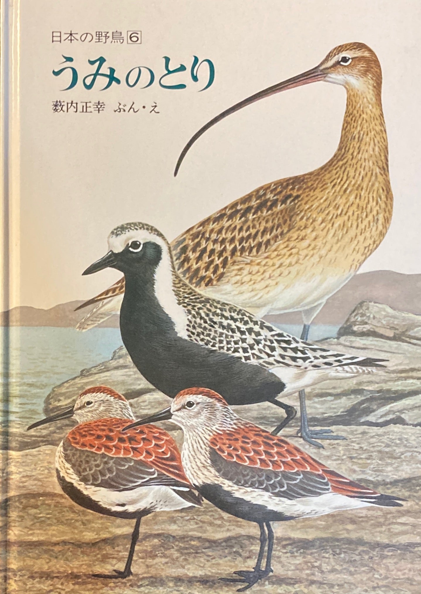 うみのとり 日本の野鳥6 藪内正幸