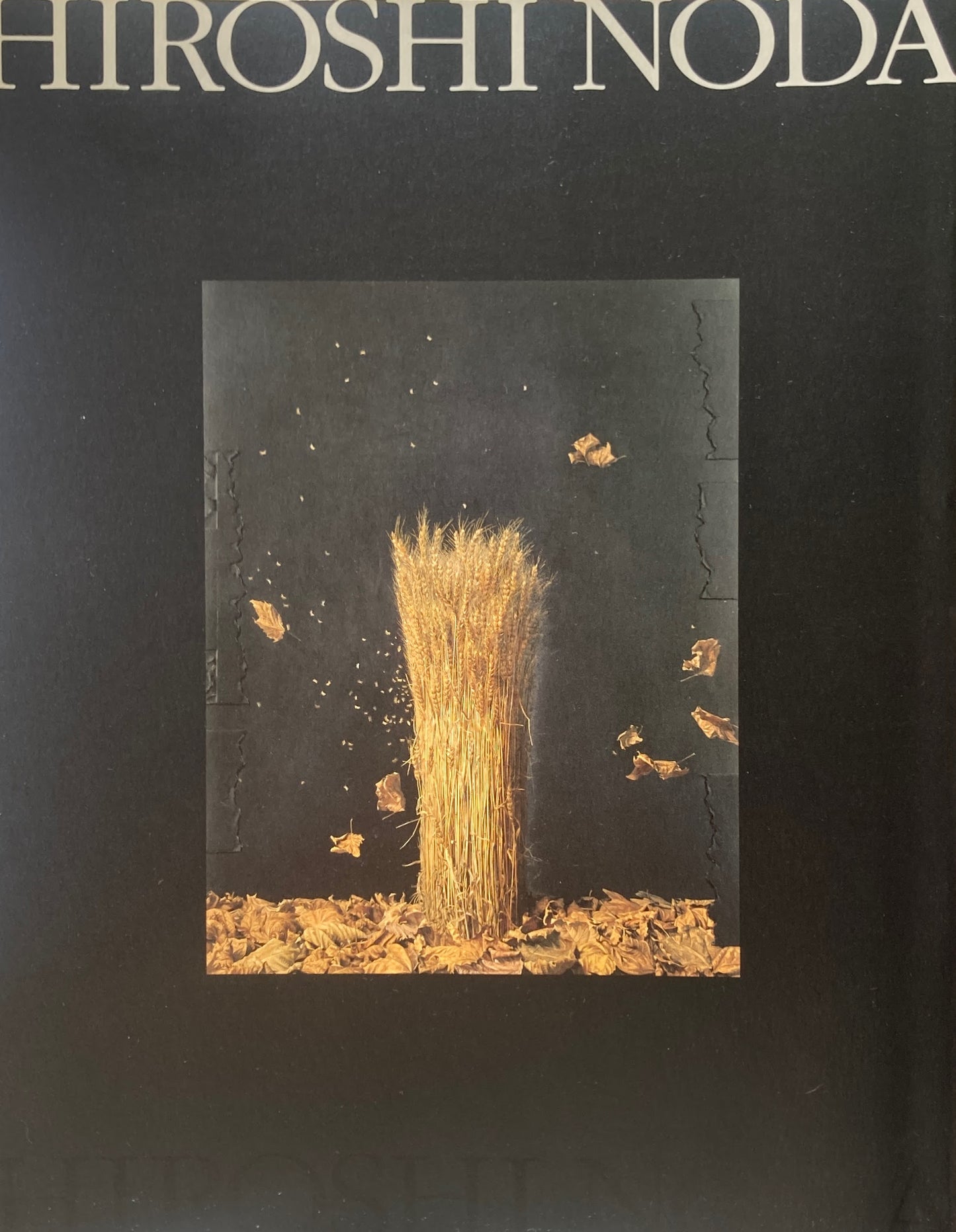 野田弘志展 Hiroshi Noda 写実の彼方に 2007