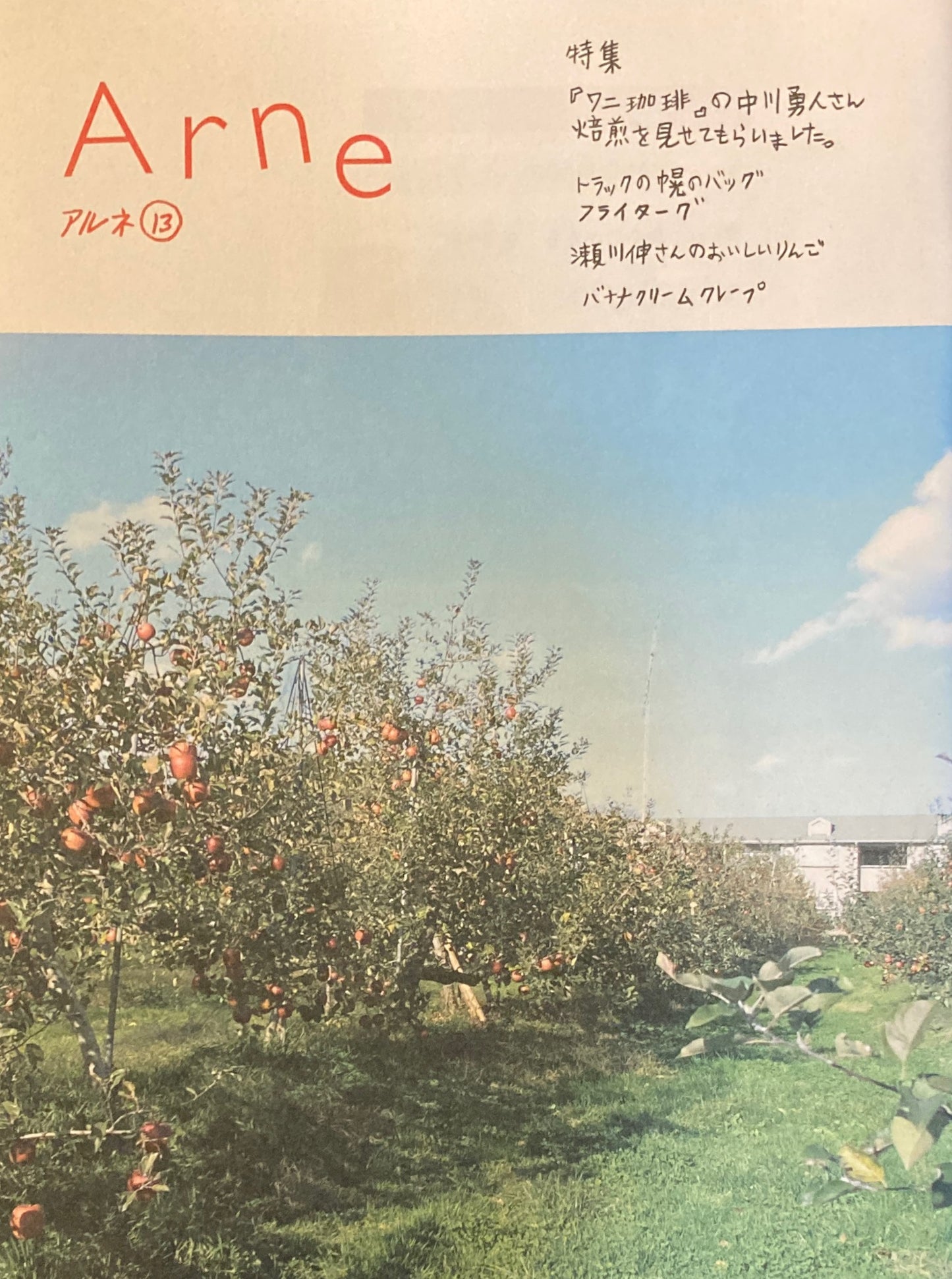 Arne13 アルネ 13 大橋歩