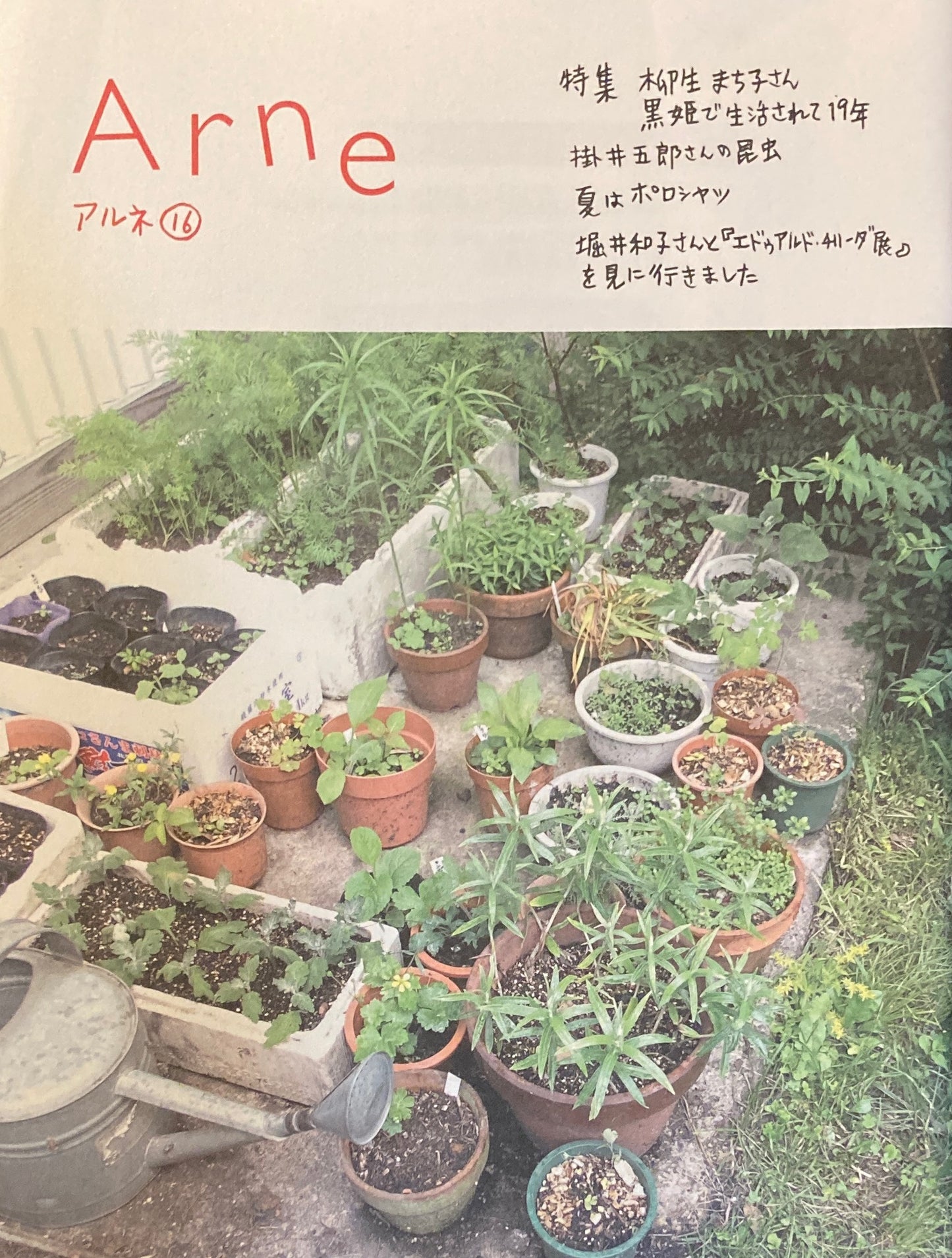 Arne16 アルネ 16 大橋歩