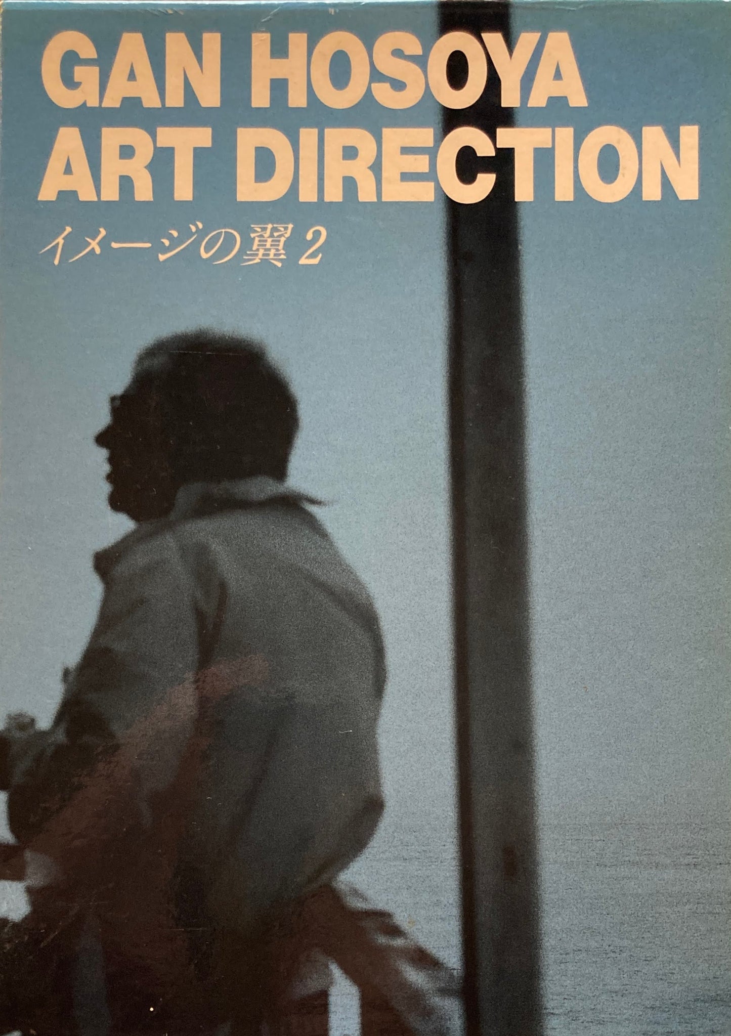 イメージの翼1・2 全2冊 細谷巌アートディレクション