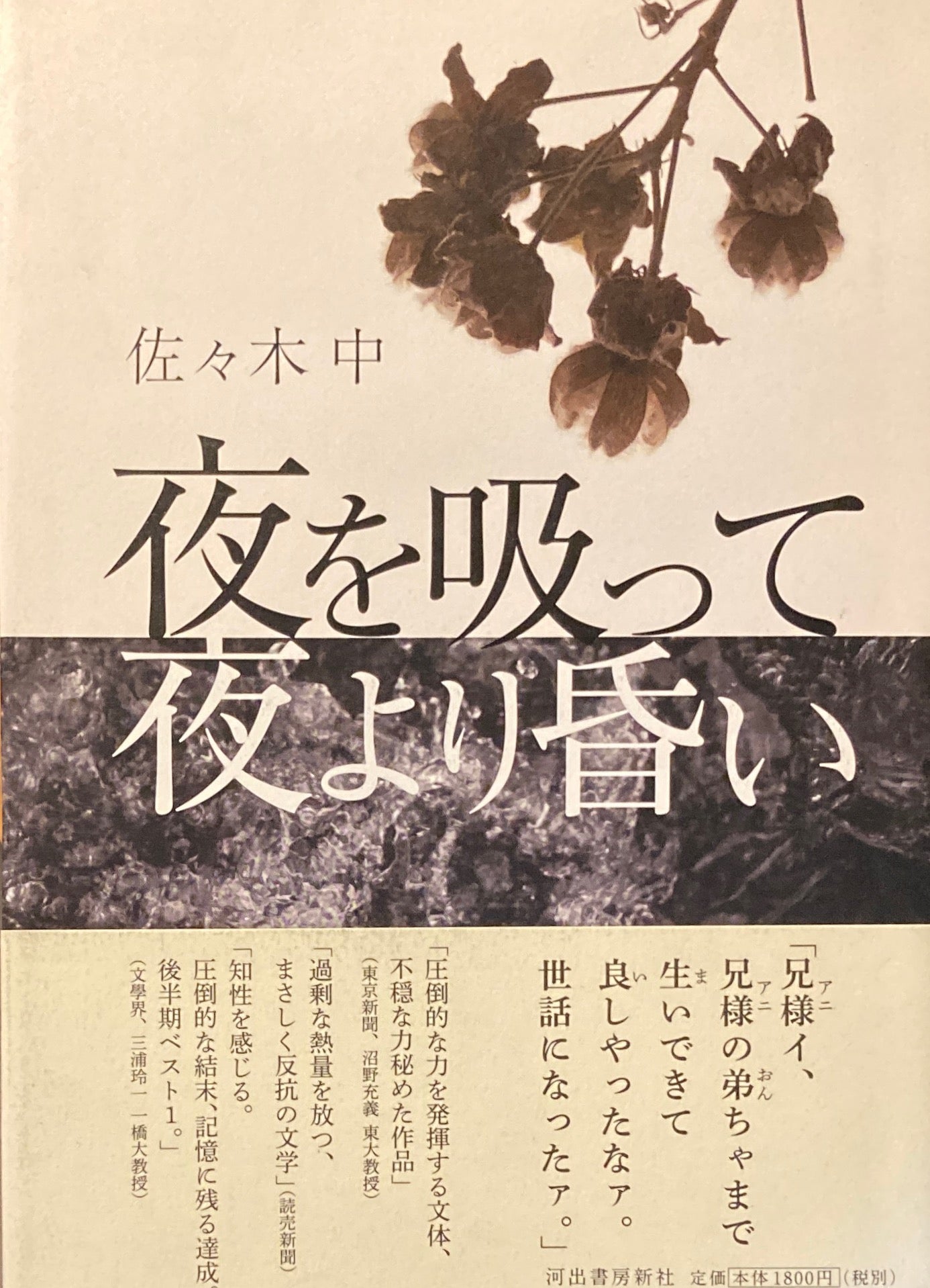 夜を吸って夜より昏い 佐々木中