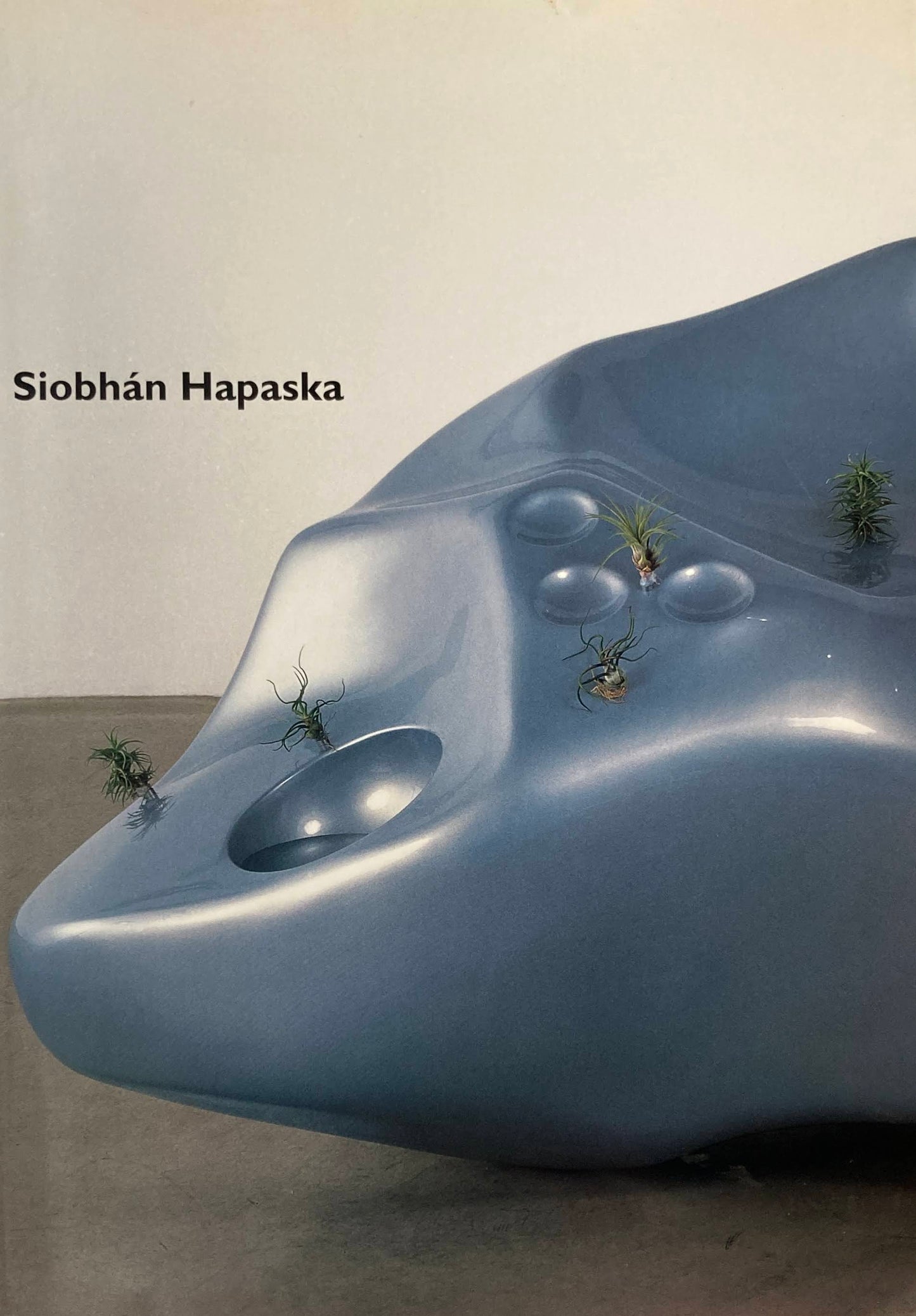 シヴォーン・ハパスカ展 ロンドン・アート・シーンの旗手 明滅する記憶の未来形