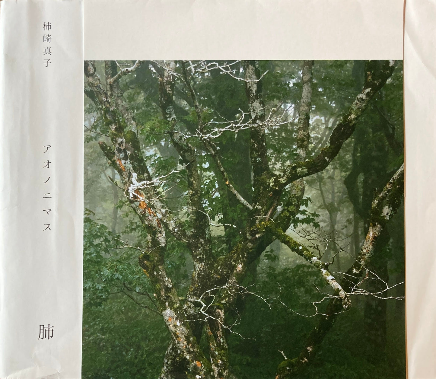 アオノニマス 肺 柿崎真子