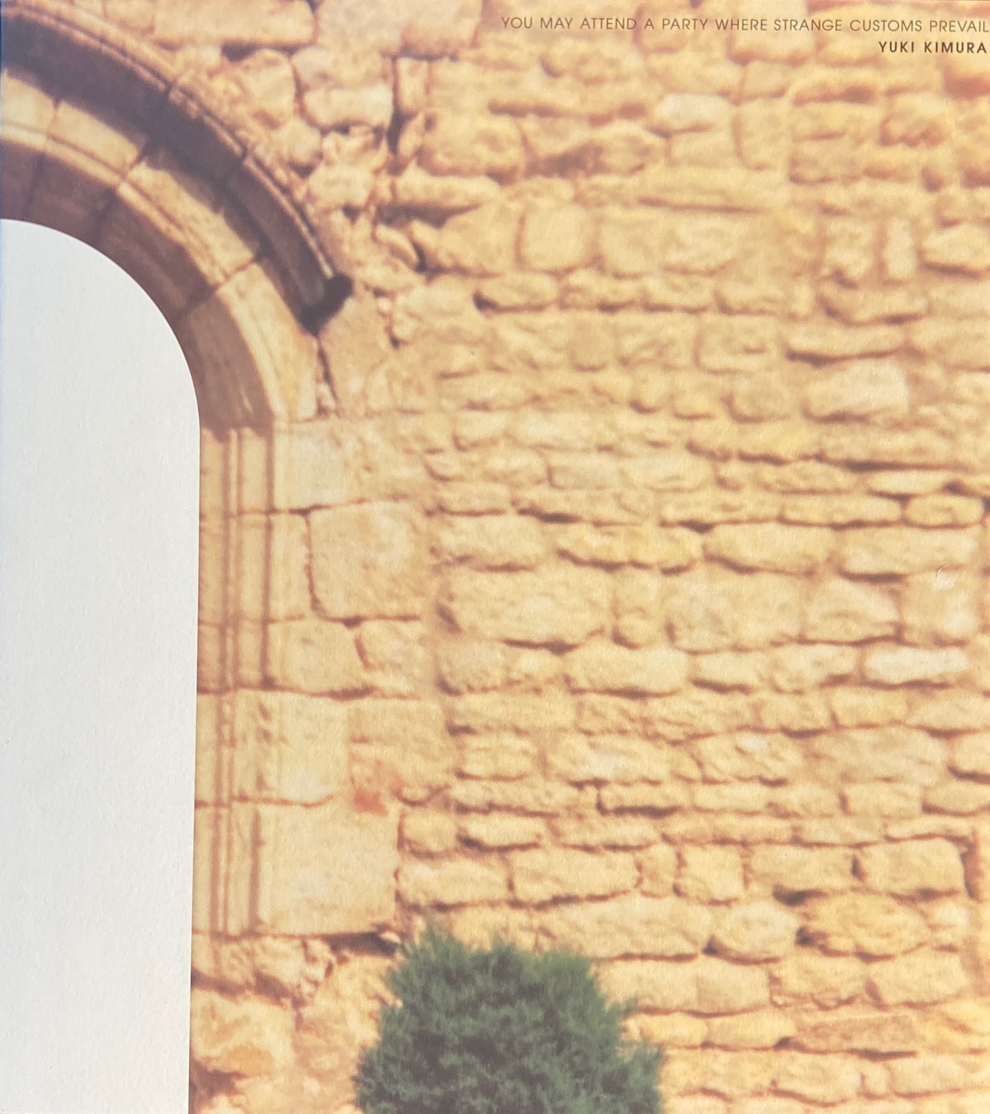 YOU MAY ATTEND A PARTY WHERE STRANGE CUSTOMS PREVAIL 木村友紀 限定1000部