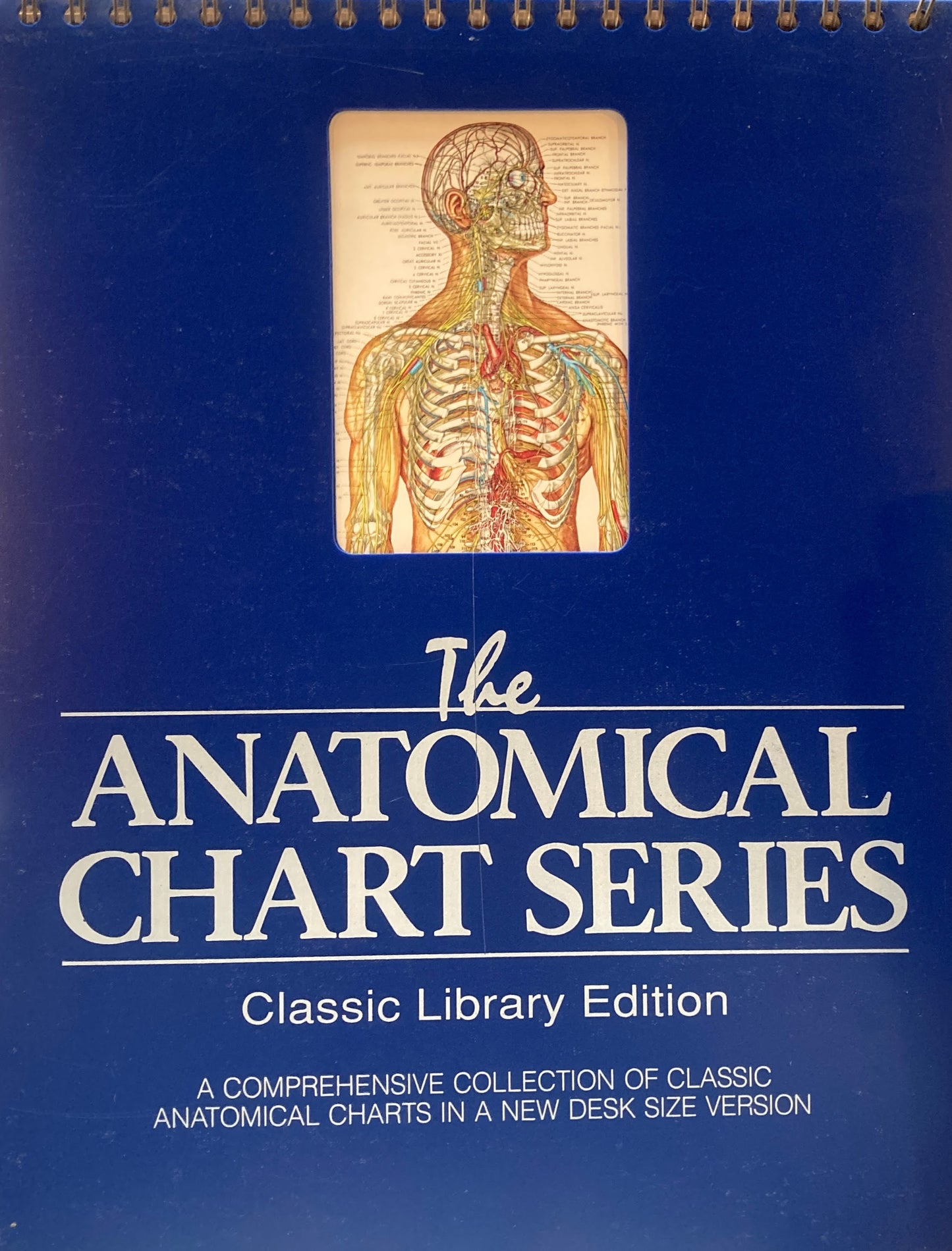 The World's Best Anatomical Chart Series