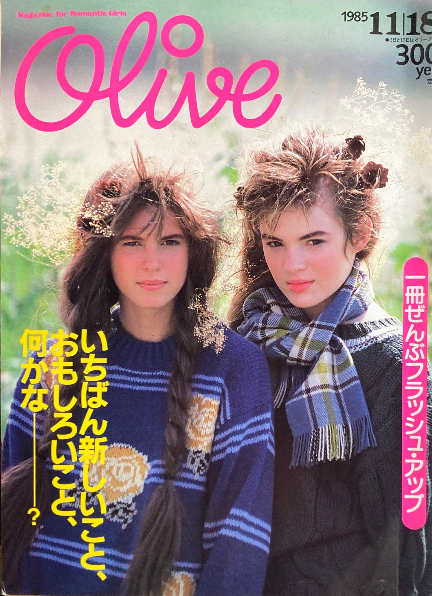 Olive オリーブ 80号 1985/11/18 いちばん新しいこと、おもしろいこと、何かな?