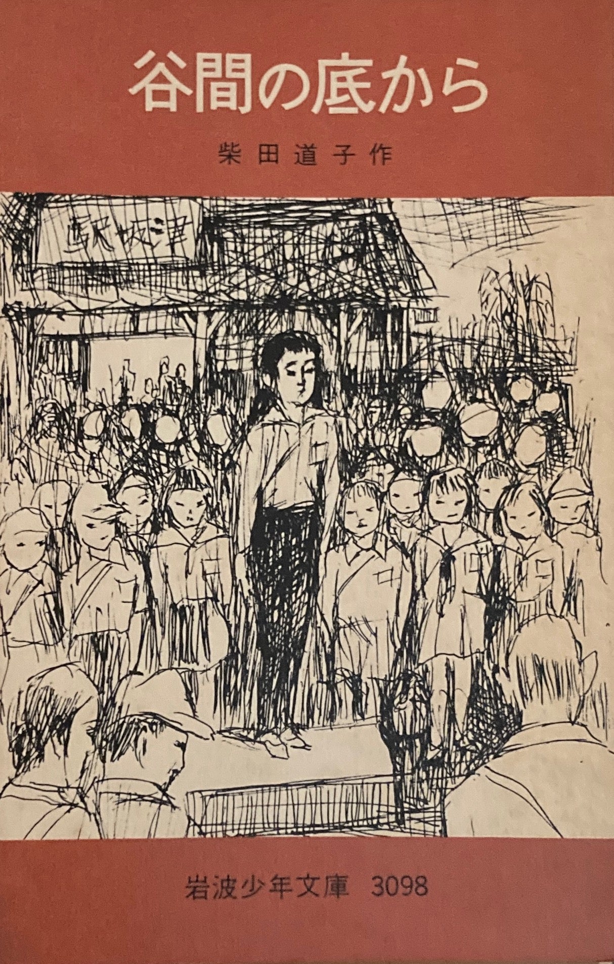 谷間の底から 柴田道子 岩波少年文庫3098