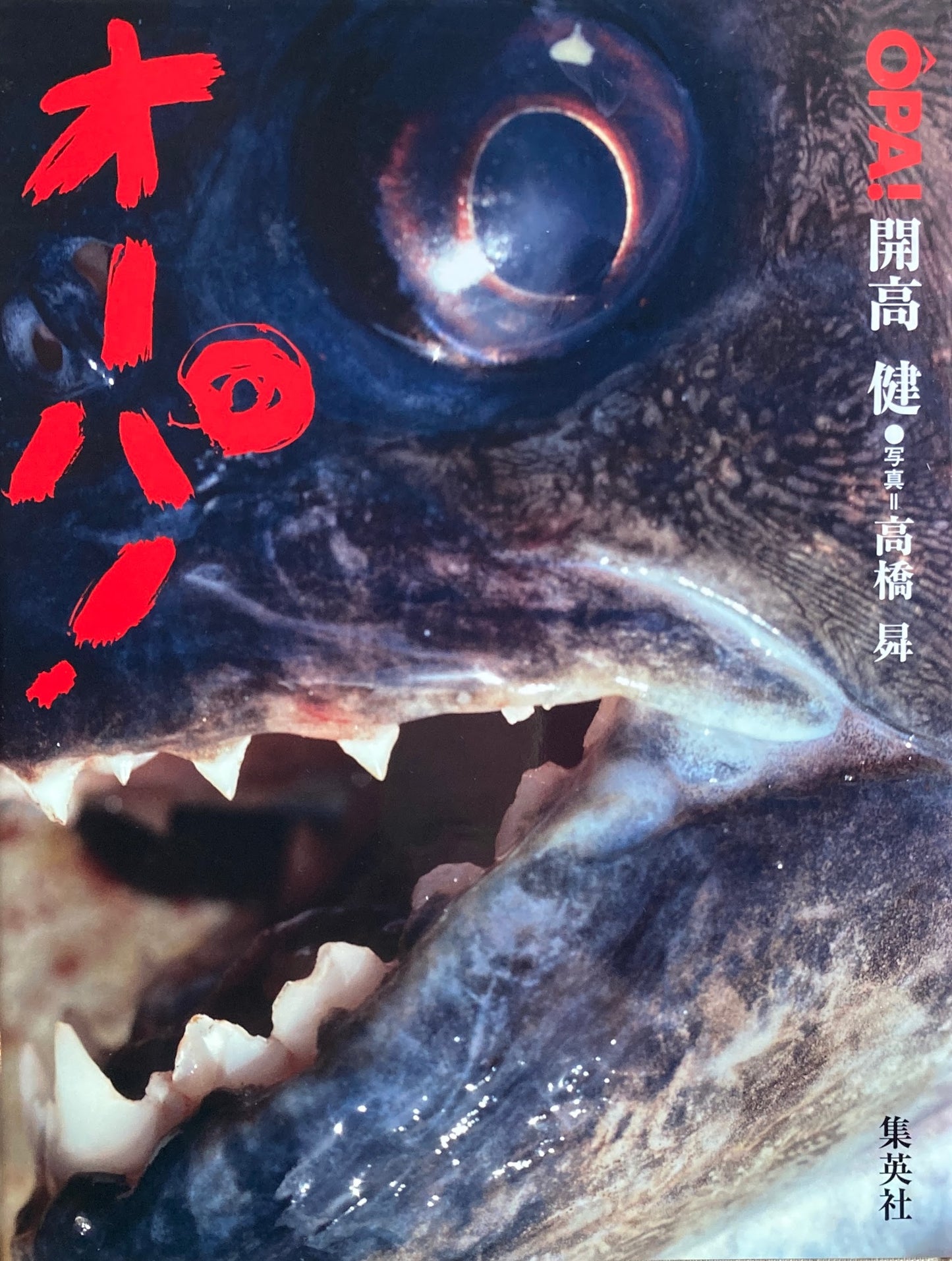 完全復刻版 オーパ! 開高健 高橋昇