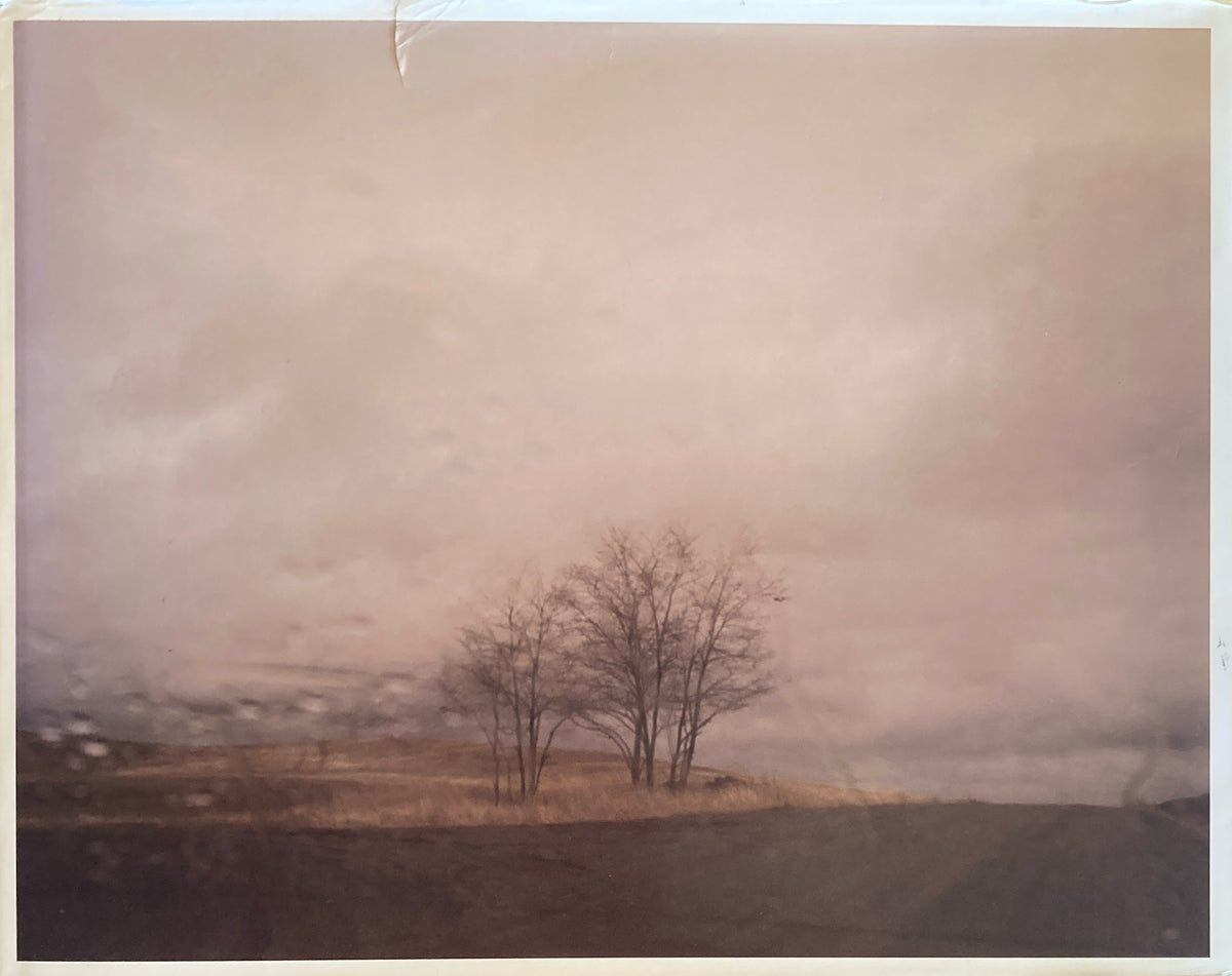 Roaming : landscape photographs, 1994-2004 Todd hido トッド・ハイド